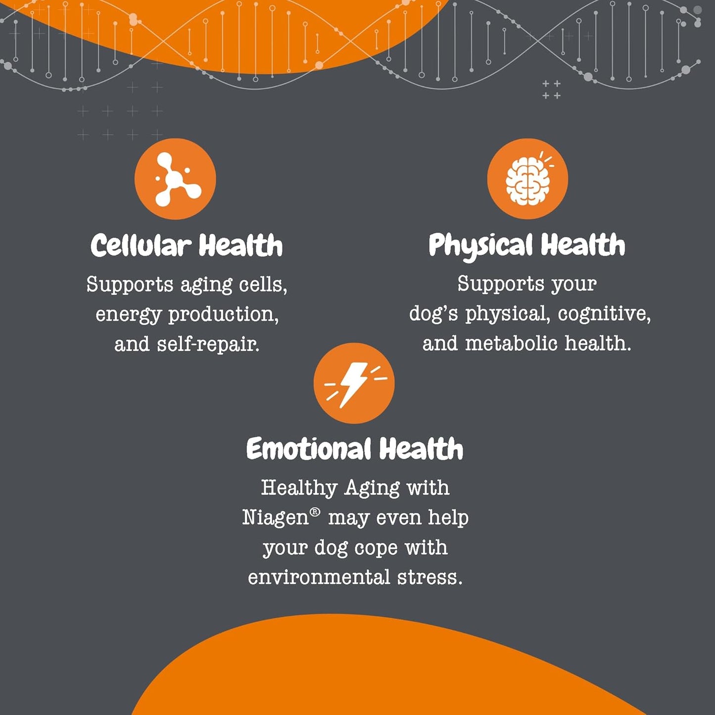 Zesty Paws Niagen Supplement for Dogs - NAD+ Precursor for Healthy Aging & Muscle Recovery - Supports Brain, Heart, & Energy - 30 Sachets