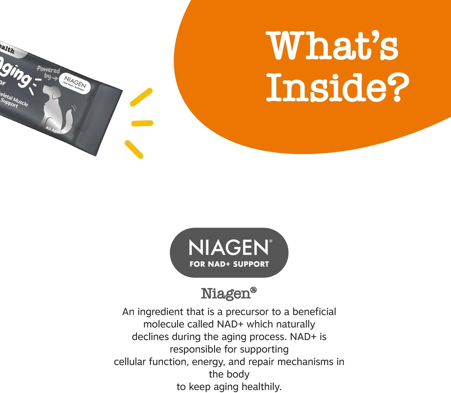 Zesty Paws Niagen Supplement for Dogs - NAD+ Precursor for Healthy Aging & Muscle Recovery - Supports Brain, Heart, & Energy - 30 Sachets
