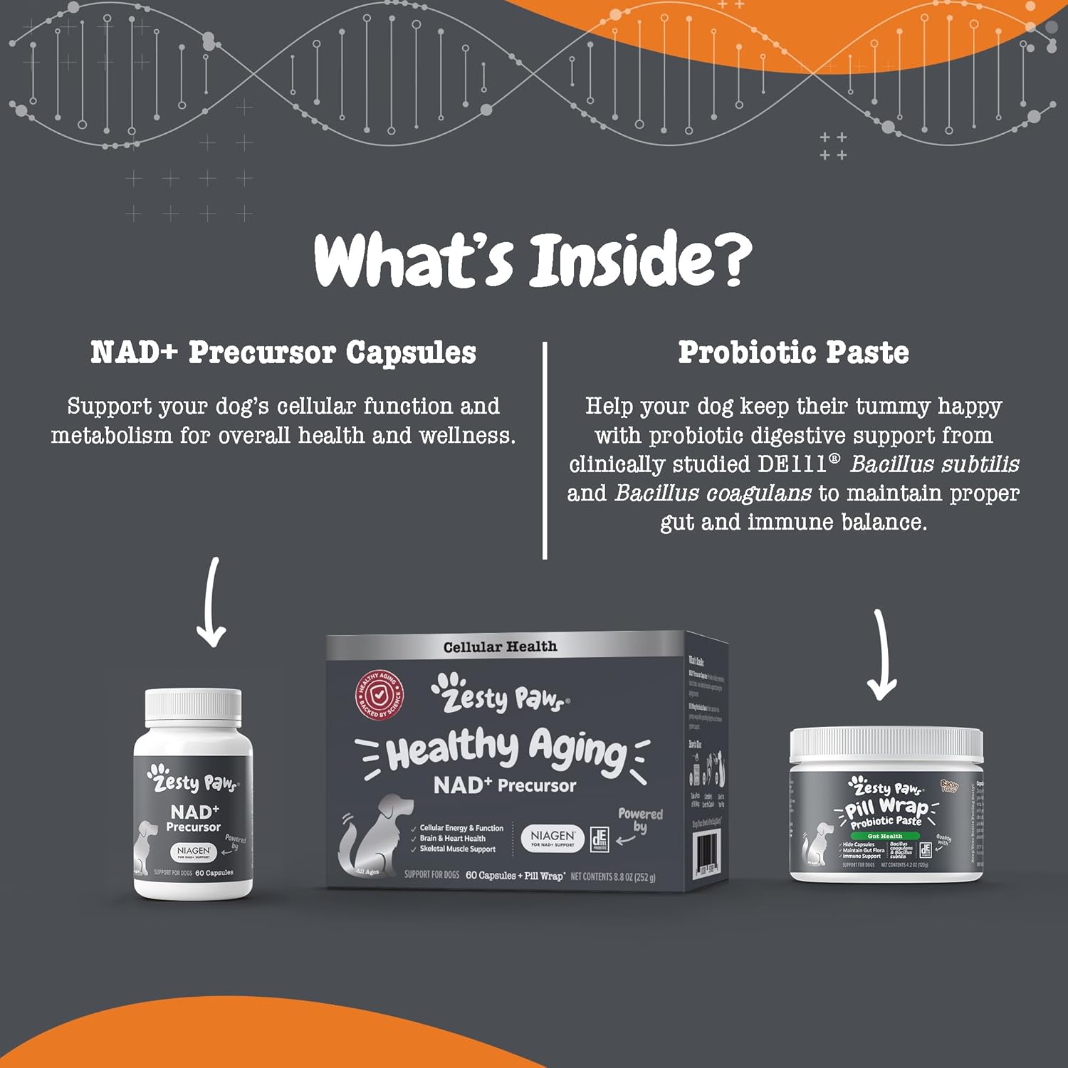 Zesty Paws Niagen Supplement for Dogs - Supports Healthy Aging, Muscle Recovery, Energy, and Cellular Health - 60 Capsules