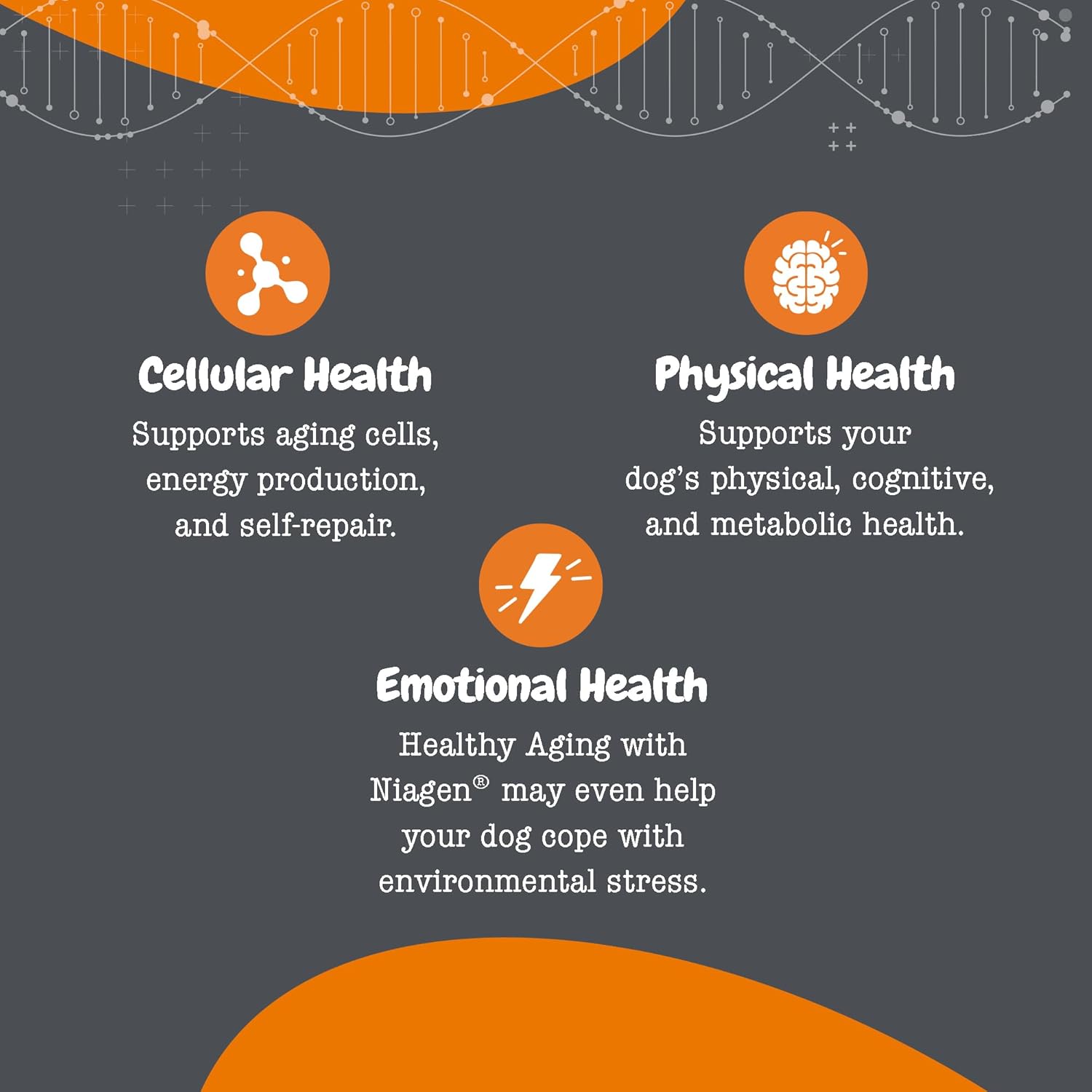 Zesty Paws Niagen Supplement for Dogs - Supports Healthy Aging, Muscle Recovery, Energy, and Cellular Health - 60 Capsules