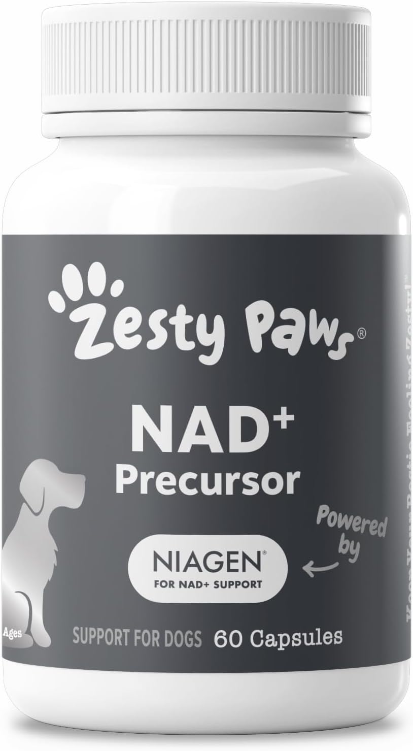 Zesty Paws Niagen Supplement for Dogs - Supports Healthy Aging, Muscle Recovery, Energy, and Cellular Health - 60 Capsules