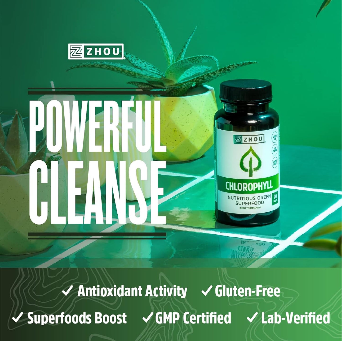 Zhou Nutrition Chlorophyll Tablets - Superfood Herbal Supplement, Gluten-Free, 90 Tablets