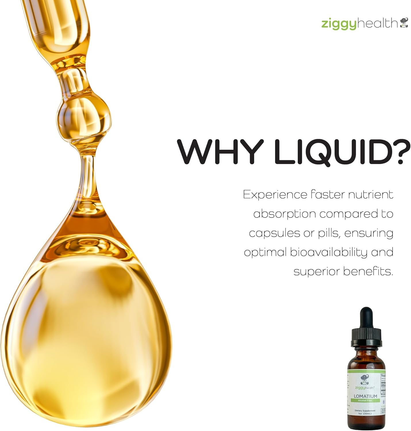 Ziggy Health Organic Lomatium Root Extract Drops - Alcohol-Free Liquid Tincture for Immune & Lung Support - Gluten-Free Herbal Supplement - 1oz