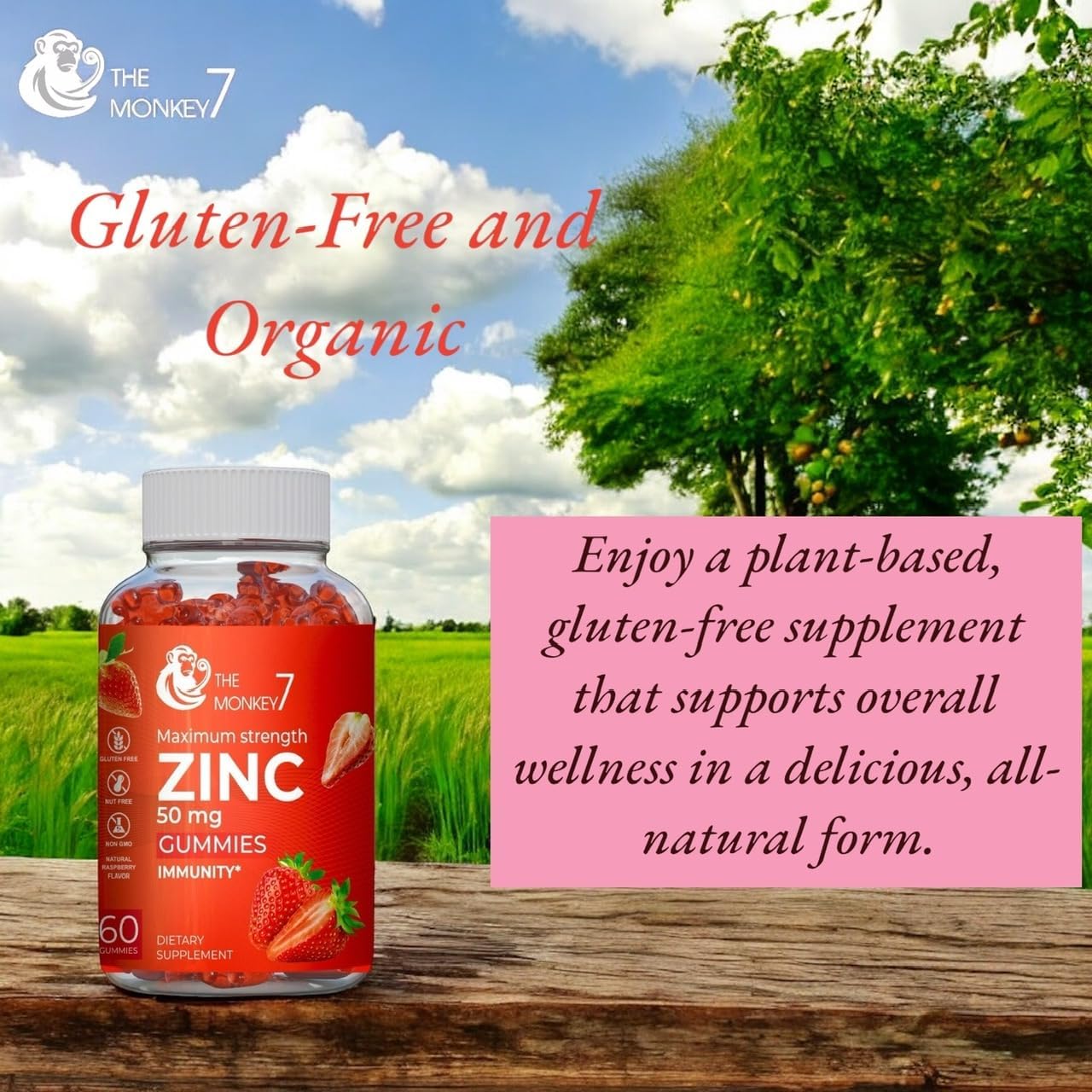 Zinc Citrate Gummies 50mg - Maximum Strength Immune Support for Women - Gluten Free Vegan Zinc Gummy Bears - 2 Pack