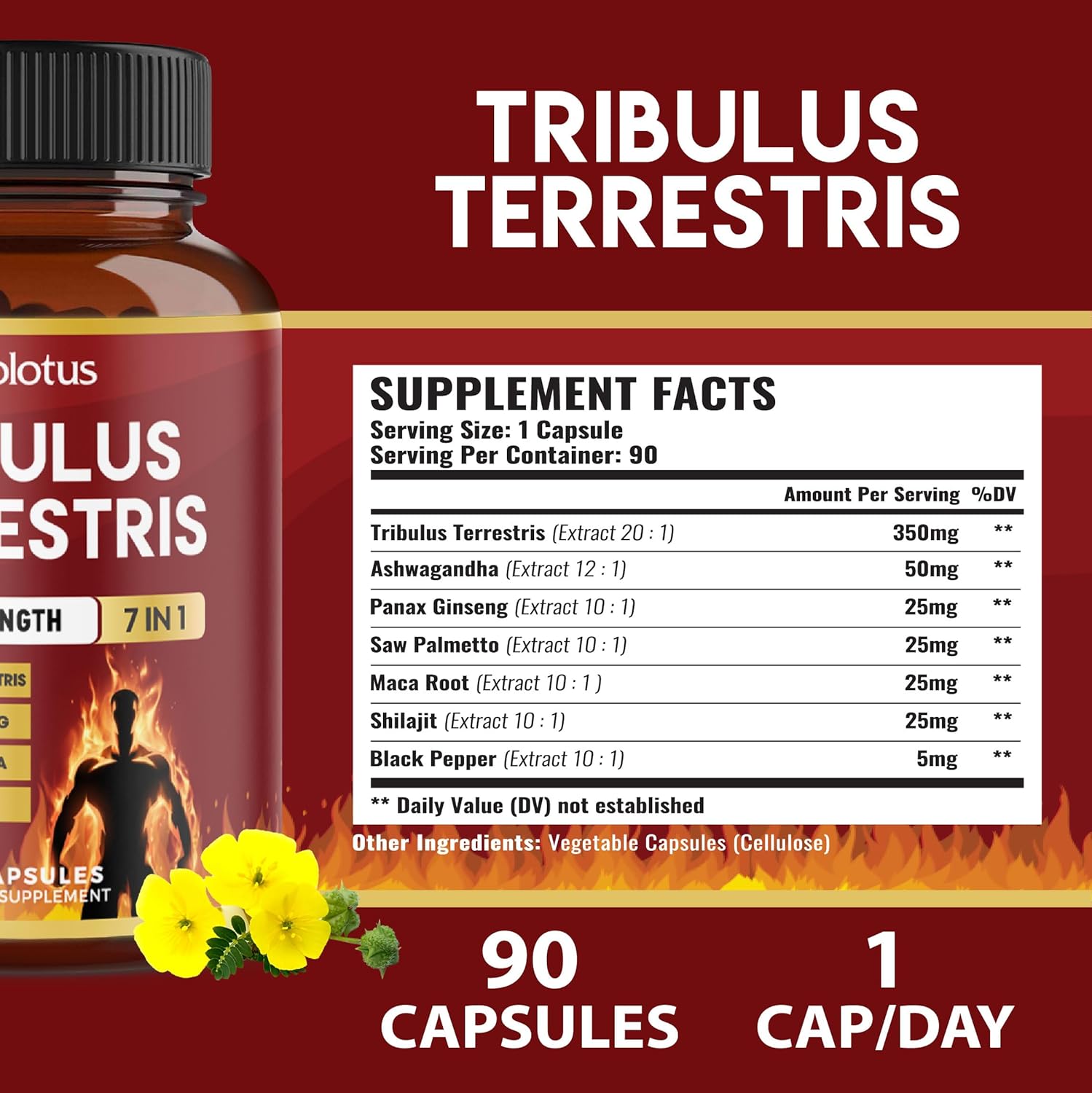 Zolotus Tribulus Terrestris Capsules with Ashwagandha, Panax Ginseng, Saw Palmetto, Maca, Shilajit - 90 Capsules - 3 Month Supply - Herbal Supplement
