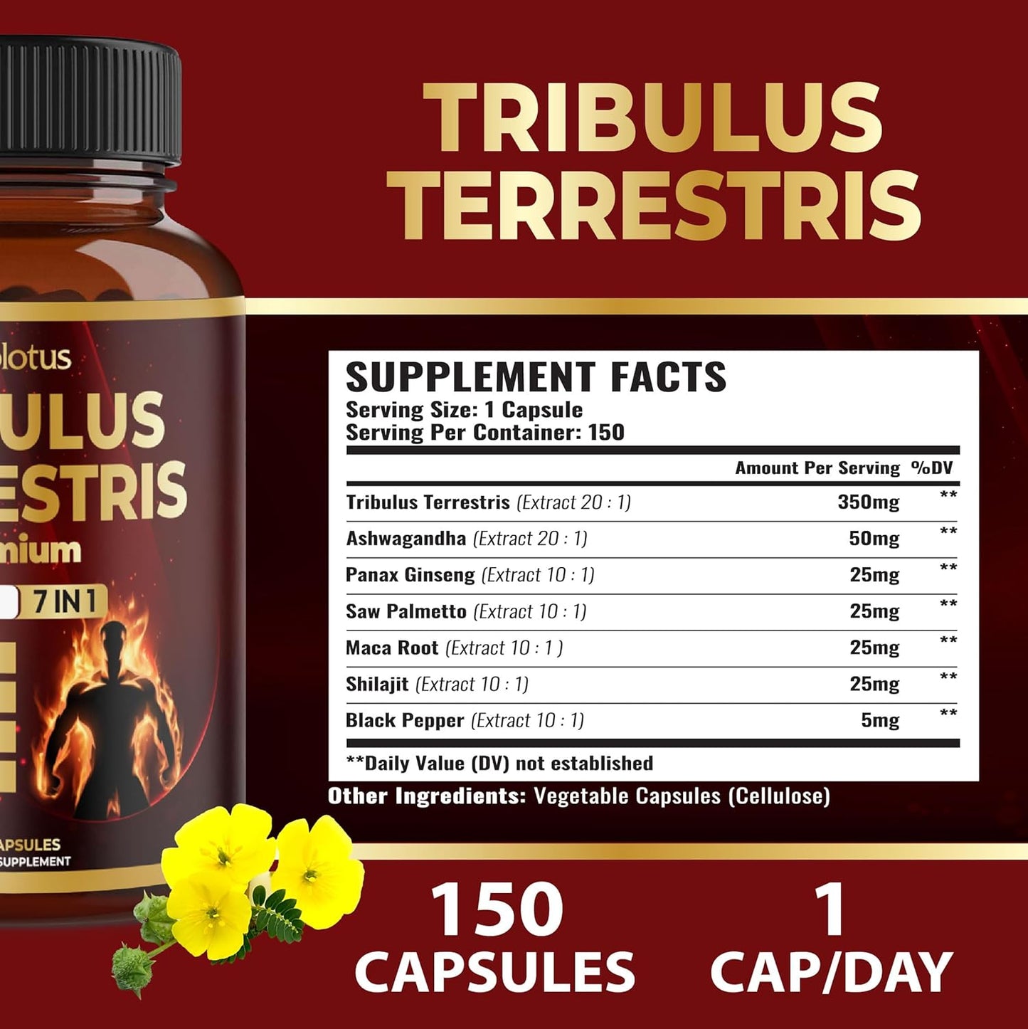 Zolotus Tribulus Terrestris Supplement with Ashwagandha & Ginseng - 5 Month Supply for Men & Women - 150 Count