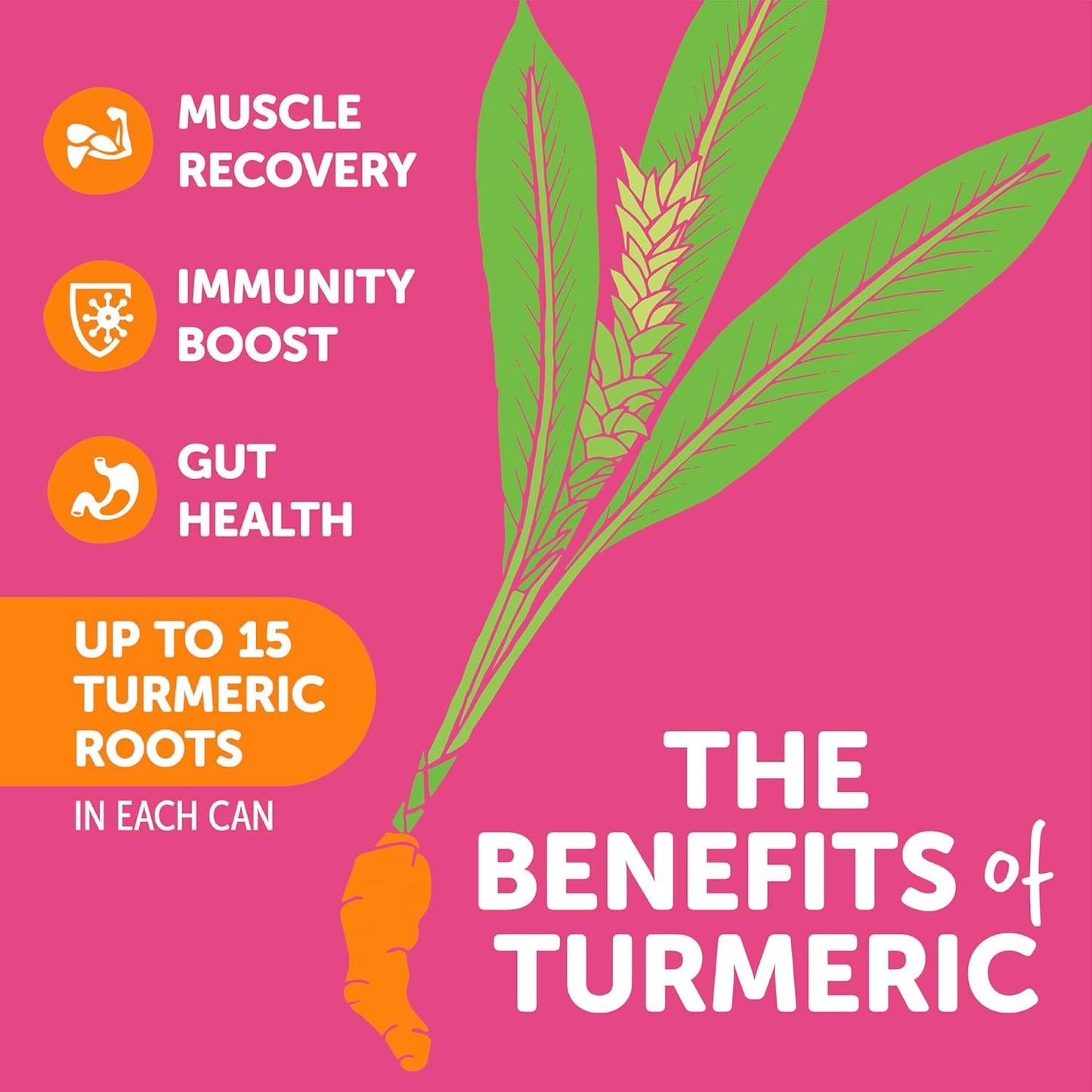 ZYN Mixed Berry Turmeric Wellness Drink 6-Pack - Sugar-Free, Low Carb, Low Calorie with Black Pepper - Clean Alternative
