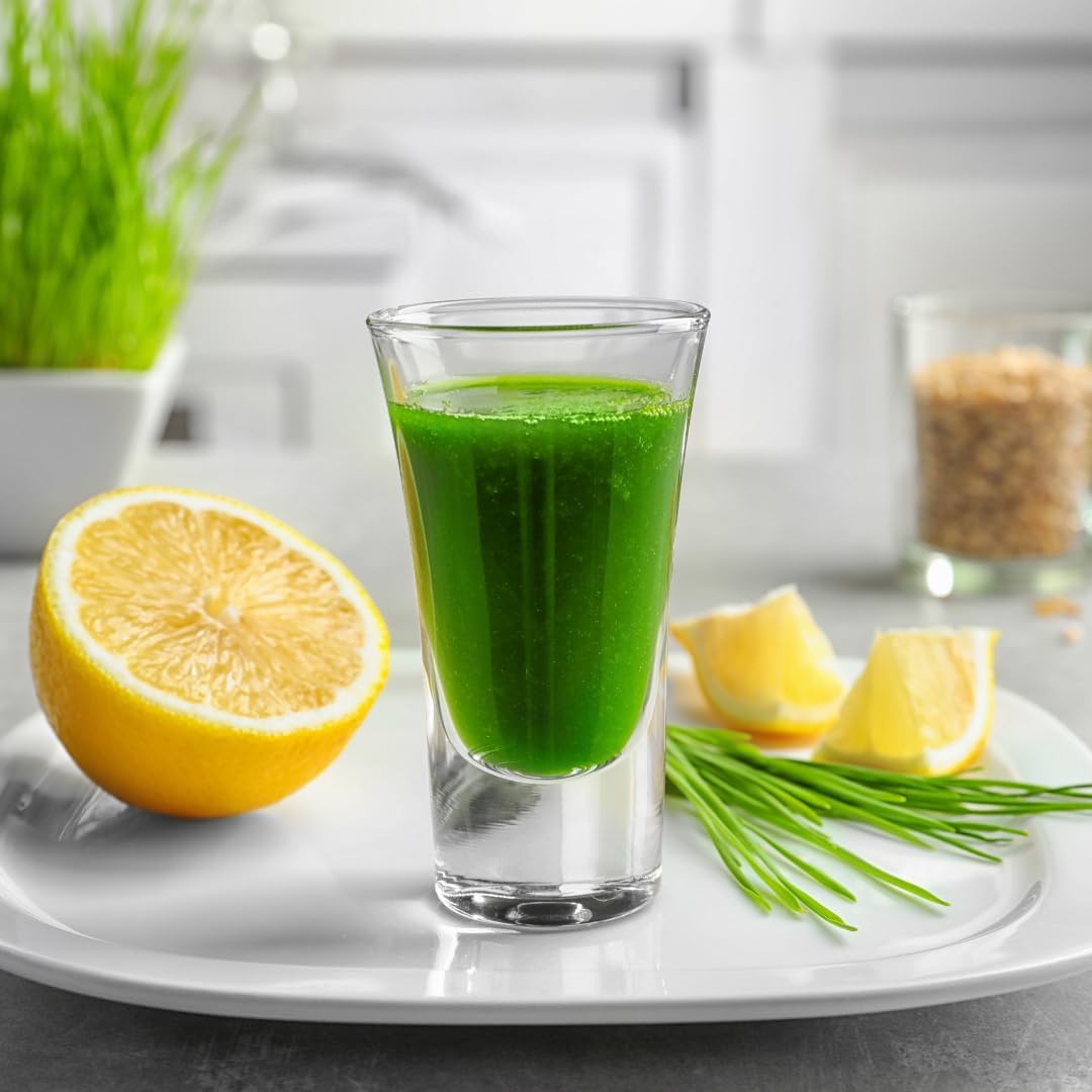 1 lb Jovvily Wheat Grass Powder - Pure Superfood for Smoothies & Shakes - No Fillers Included