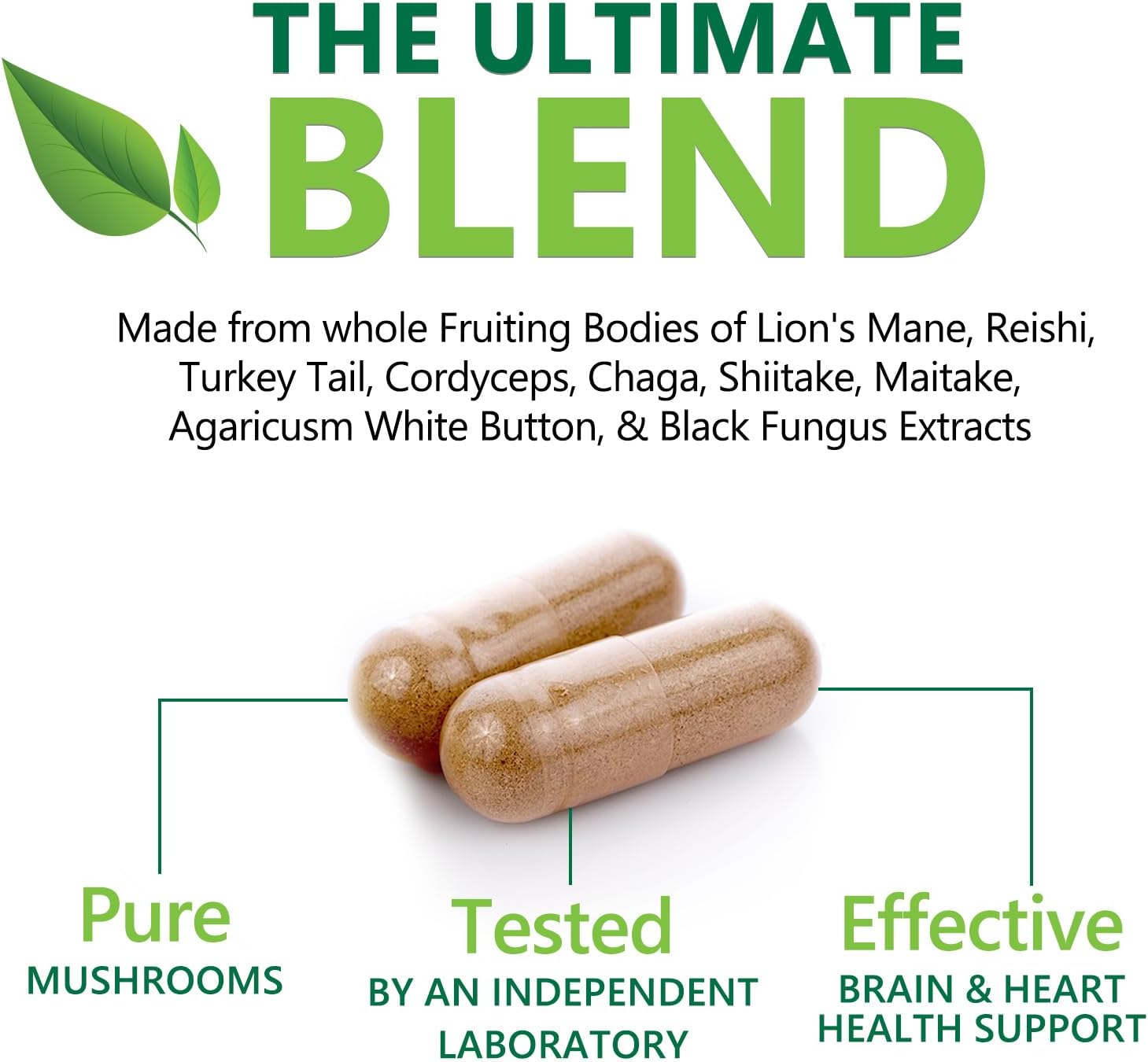 10-in-1 Mushroom Complex Capsules for Memory and Focus - Lions Mane, Turkey Tail, Reishi, Chaga, Cordyceps - Nootropic Brain Supplements - 60 Capsules