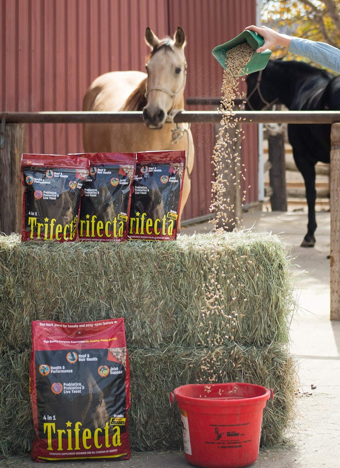 10 lb Horse Guard Trifecta: Complete Equine Vitamin Mineral Supplement with 4 Essential Nutrients