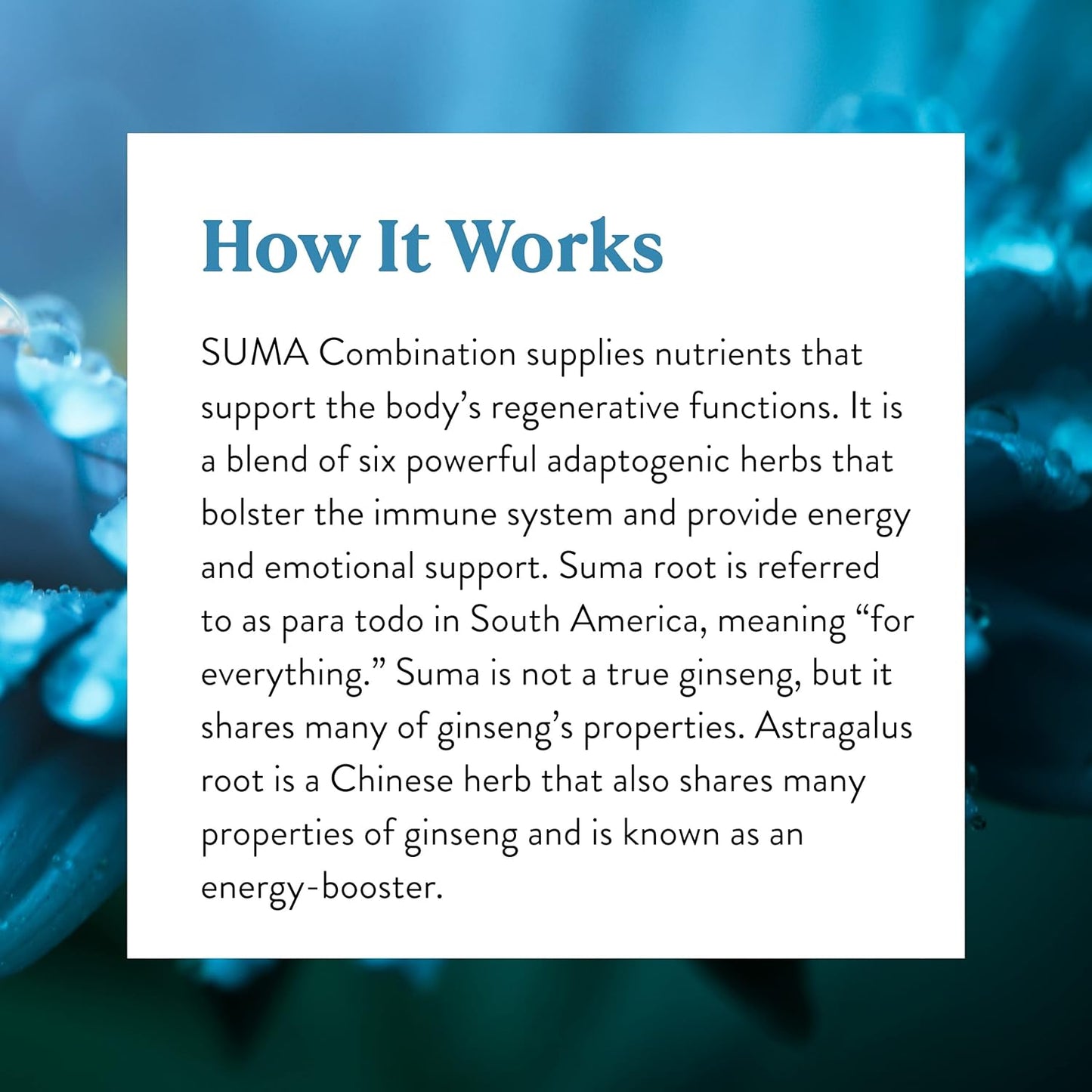 100 Capsules of Nature's Sunshine Suma Combination: Boosts Energy and Strengthens Immune System with Adaptogenic Herbs