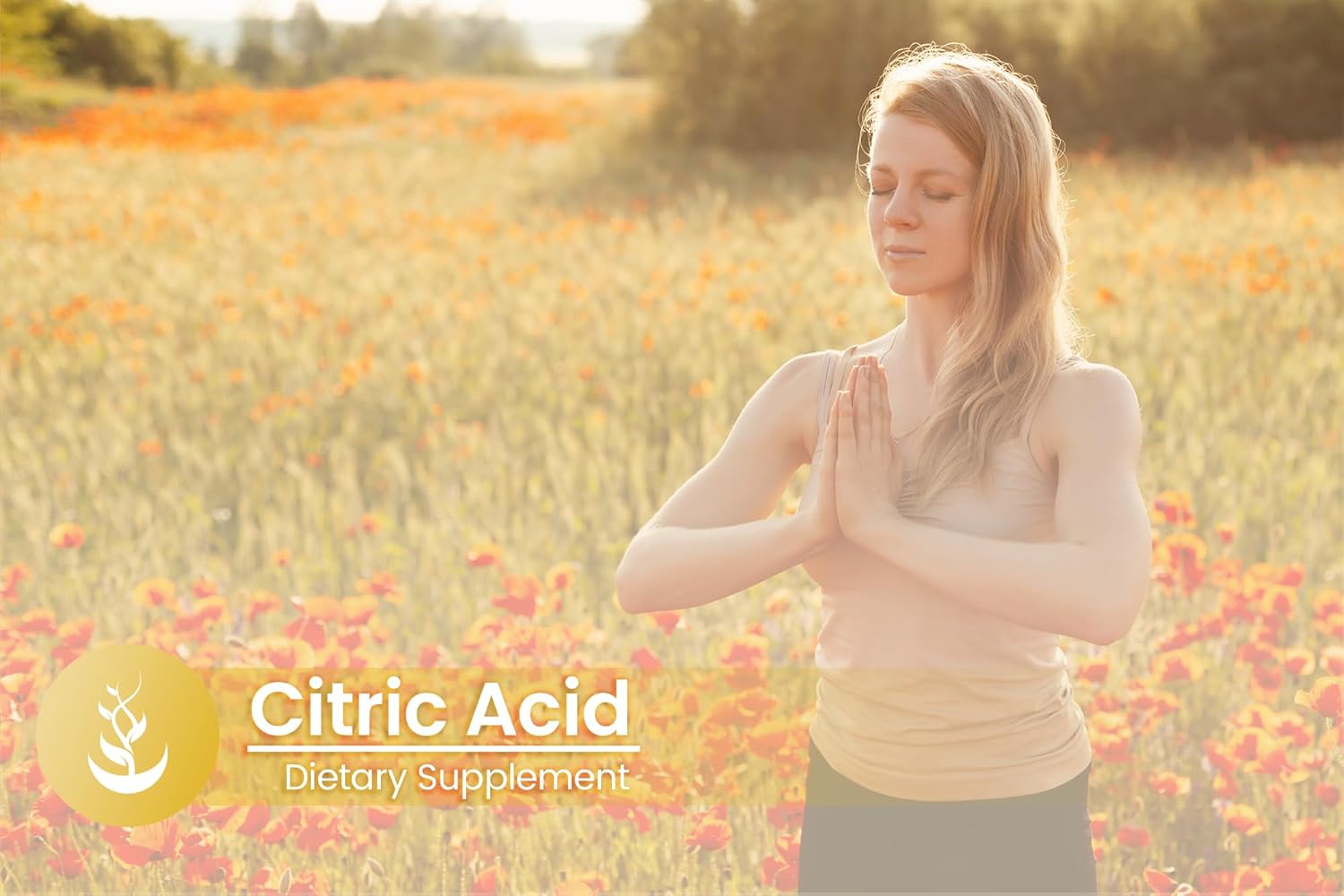 100 Capsules of Pure Citric Acid - Original Ingredients, Lab Verified, No Additives or Fillers