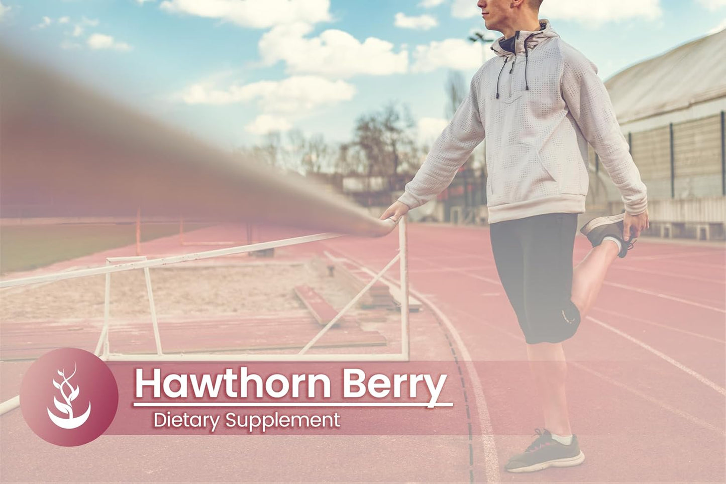 100 Capsules of Pure Hawthorn Berry - Lab Verified, No Additives or Fillers - Always Original Ingredients