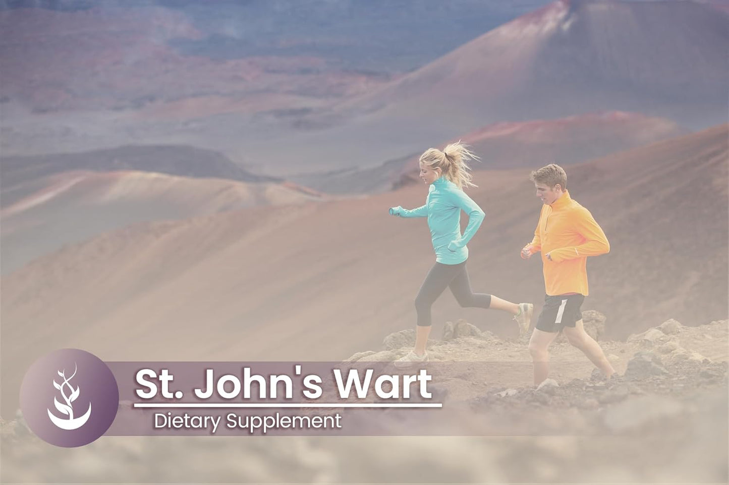 100 Capsules of Pure St. John's Wort with Original Ingredients, Lab Verified, No Additives