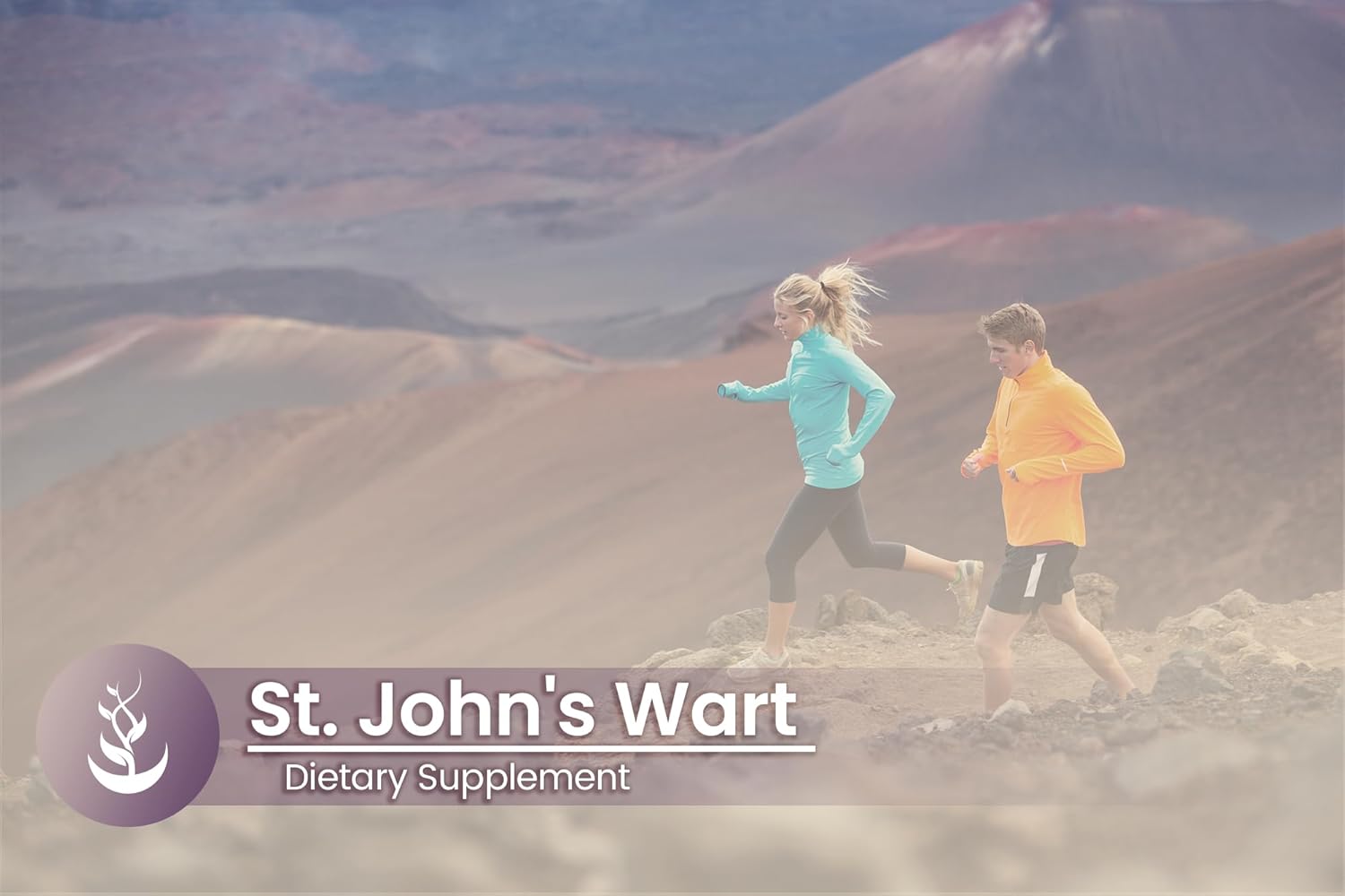 100 Capsules of Pure St. John's Wort with Original Ingredients, Lab Verified, No Additives
