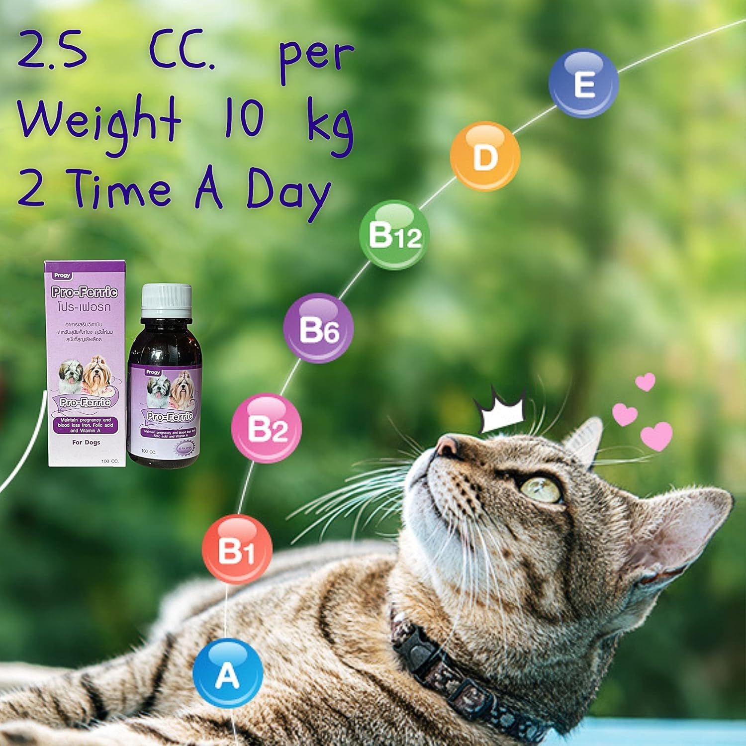 100 CC Liquid Tonic for Dogs - Iron & Multi Vitamins Supplement for Energy & Immunity Boost