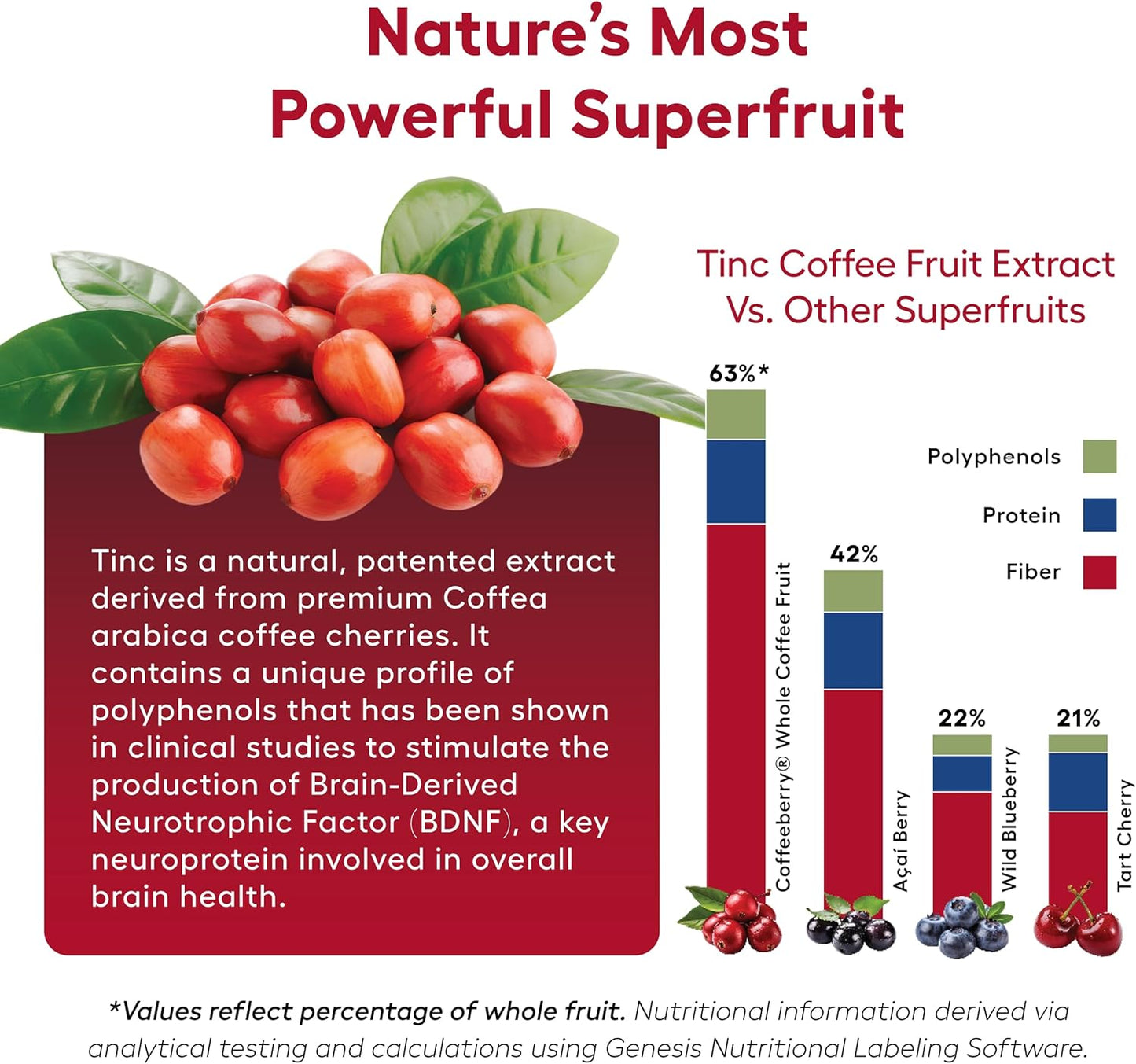 100% Coffee Fruit Extract Capsules for Focus, Energy & Alertness - Daily Brain Supplement with BDNF Support
