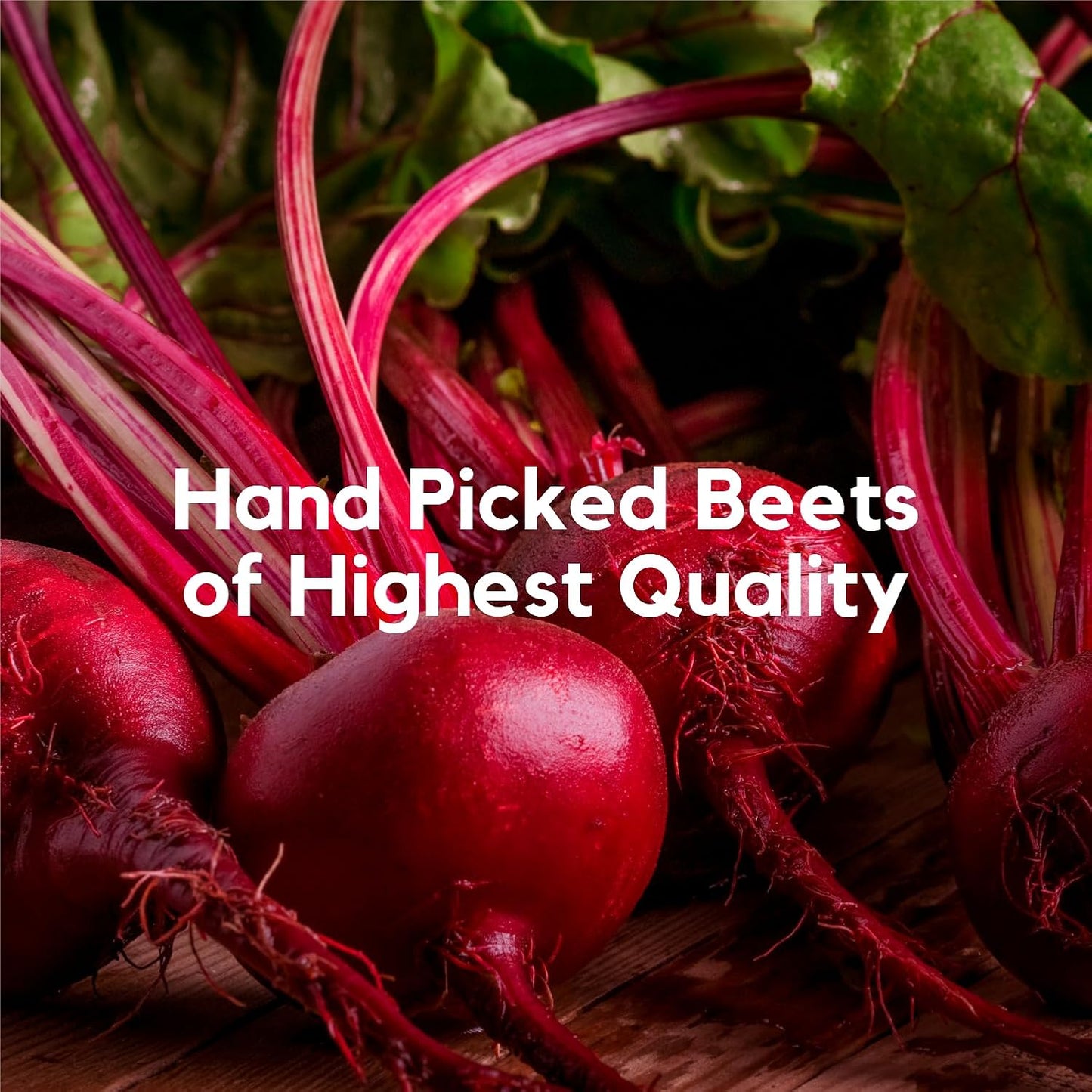 100% Natural Beet Root Powder with Pure Himalayan Shilajit Resin - 16oz Energy Booster & Immune Support