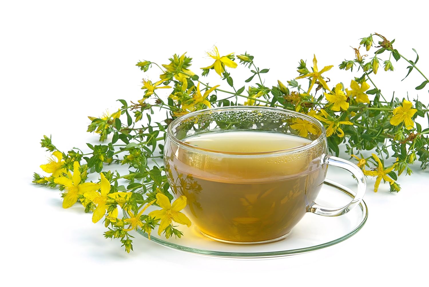 100% Natural Health Embassy St. John's Wort Herb Tea - Hypericum Perforatum L - 50g