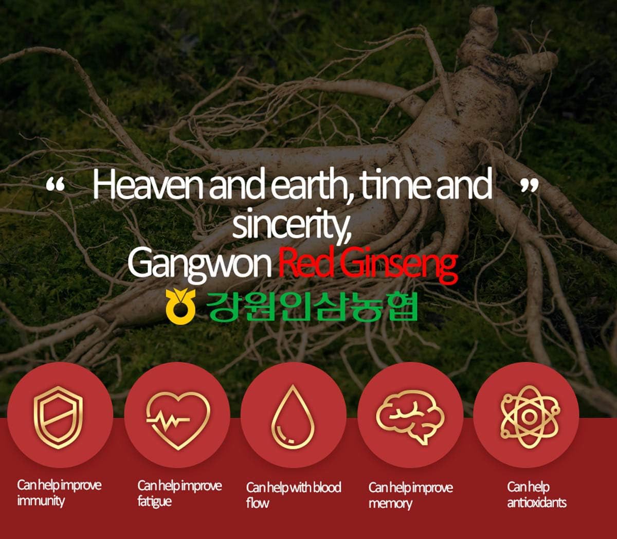 100 Packets of 6-Year-Old Korean Red Ginseng Tea (3g each) - Individually Packaged Korean Health Food by Gangwoninsam