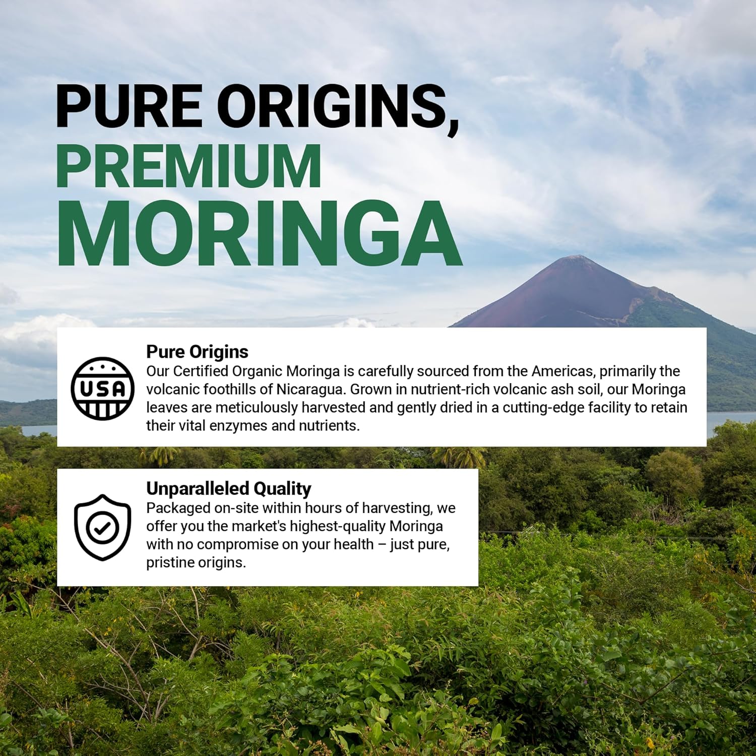 100% Pure Moringa 800mg Capsules - Dietary Supplement for Mood, Concentration, Memory - Vitamins, Minerals, Nutrients included