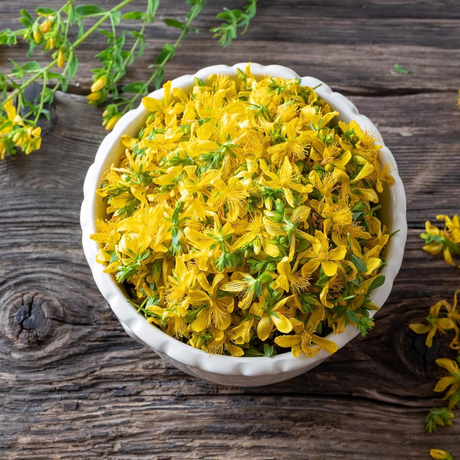 1000 Perennial Hypericum Perforatum St. John's Wort Yellow Flower Seeds for Planting by Outsidepride