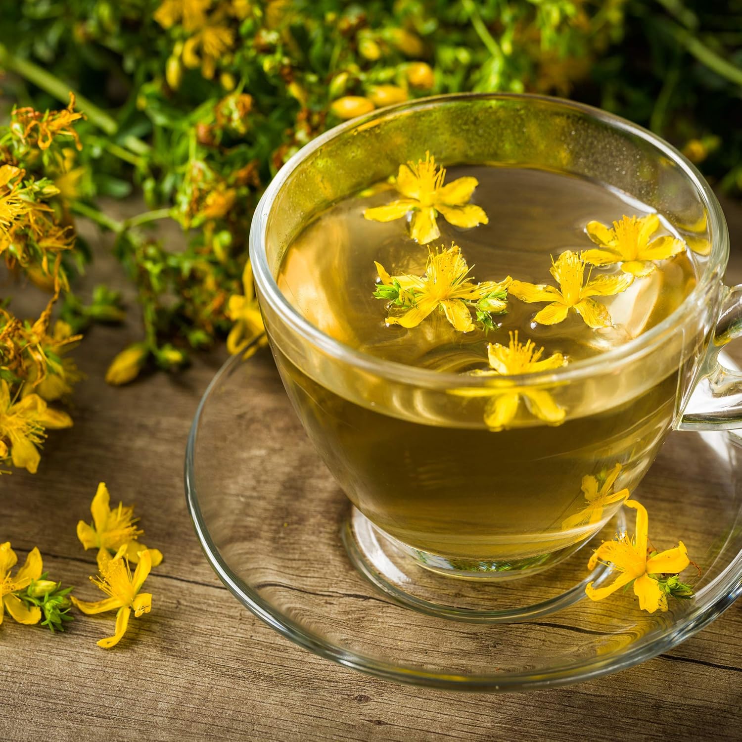 1000 Perennial Hypericum Perforatum St. John's Wort Yellow Flower Seeds for Planting by Outsidepride