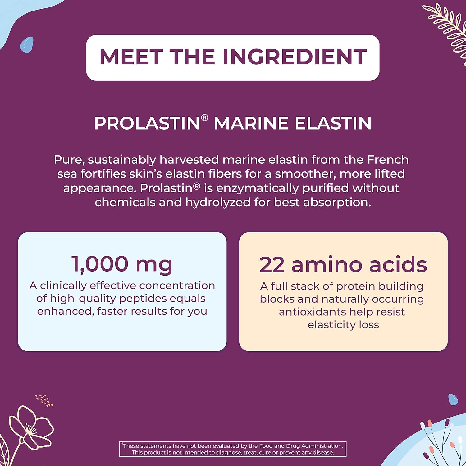 1000mg Body Kitchen Pro-Elastin Supplement for Skin Health, Reduce Aging Signs, Firmer Skin, Fewer Wrinkles - Veggie Caps (1 Pack)