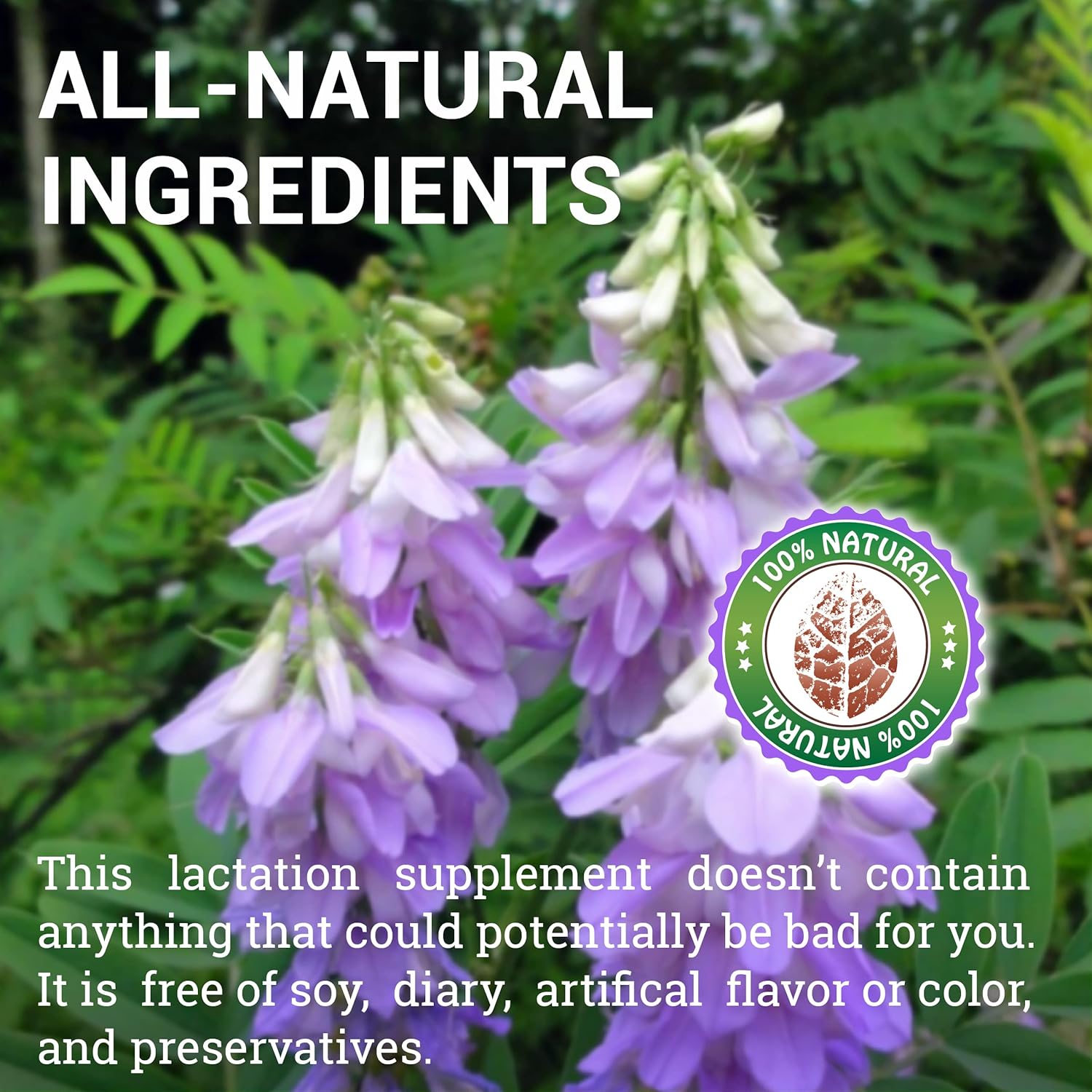 1000mg Herbal Goat's Rue Capsules - Natural Galega Officinalis Breastfeeding Supplement - Supports Breast Milk Production - 100 Capsules