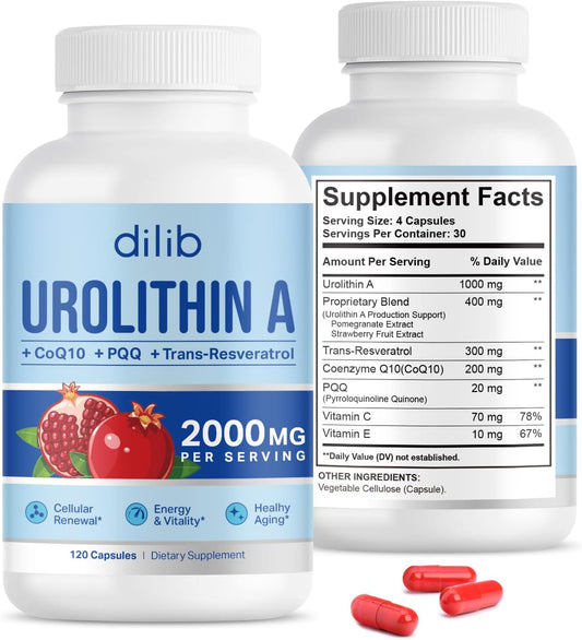 1000mg Urolithin A Supplement - 120 Capsules by dilib