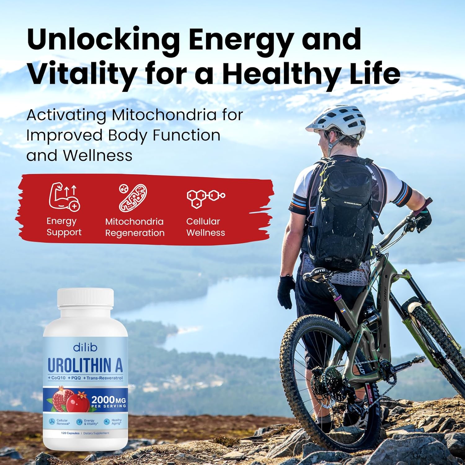 1000mg Urolithin A Supplement - 120 Capsules by dilib