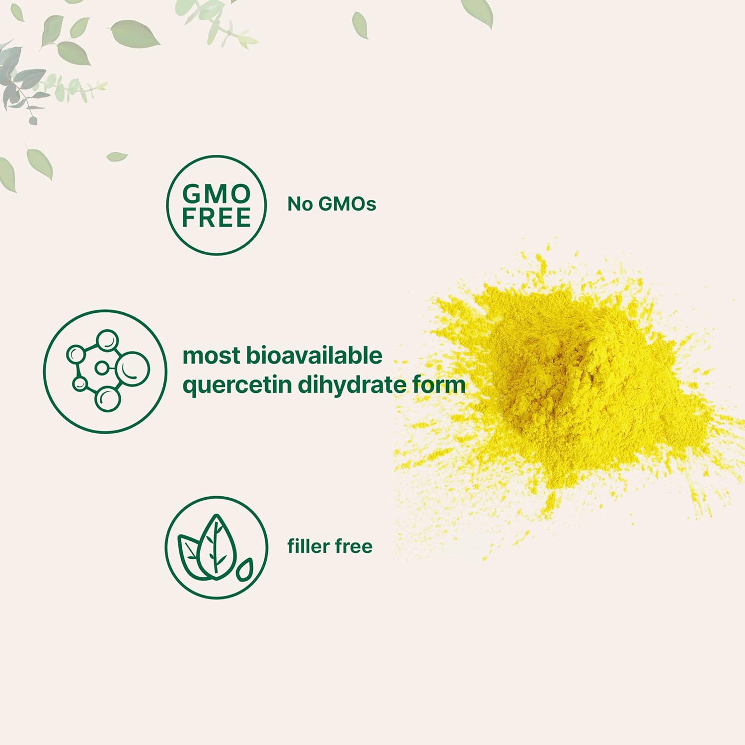 100g Micro Ingredients Quercetin Dihydrate Powder - 500mg Per Serving, High Bioavailability, Antioxidant for Energy & Immune Support, GMO-Free, Vegan