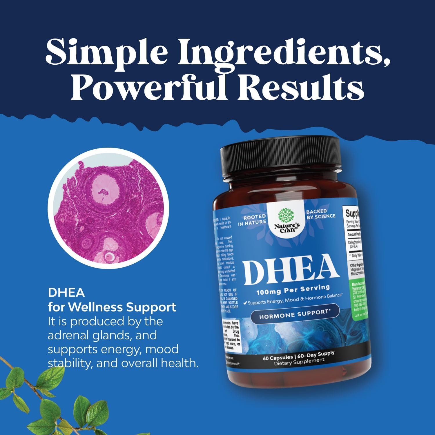 100mg DHEA Supplement for Men and Women - Vegan High Strength Energy & Hormone Balance - Women's Hormone Balance (2 Month Supply)