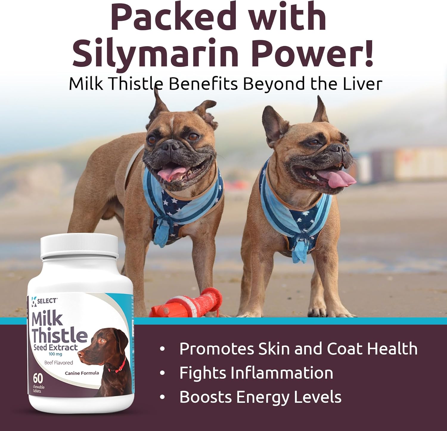 100mg Milk Thistle Tablets for Dogs - 60 Beef Flavored Canine Liver Health Supplements