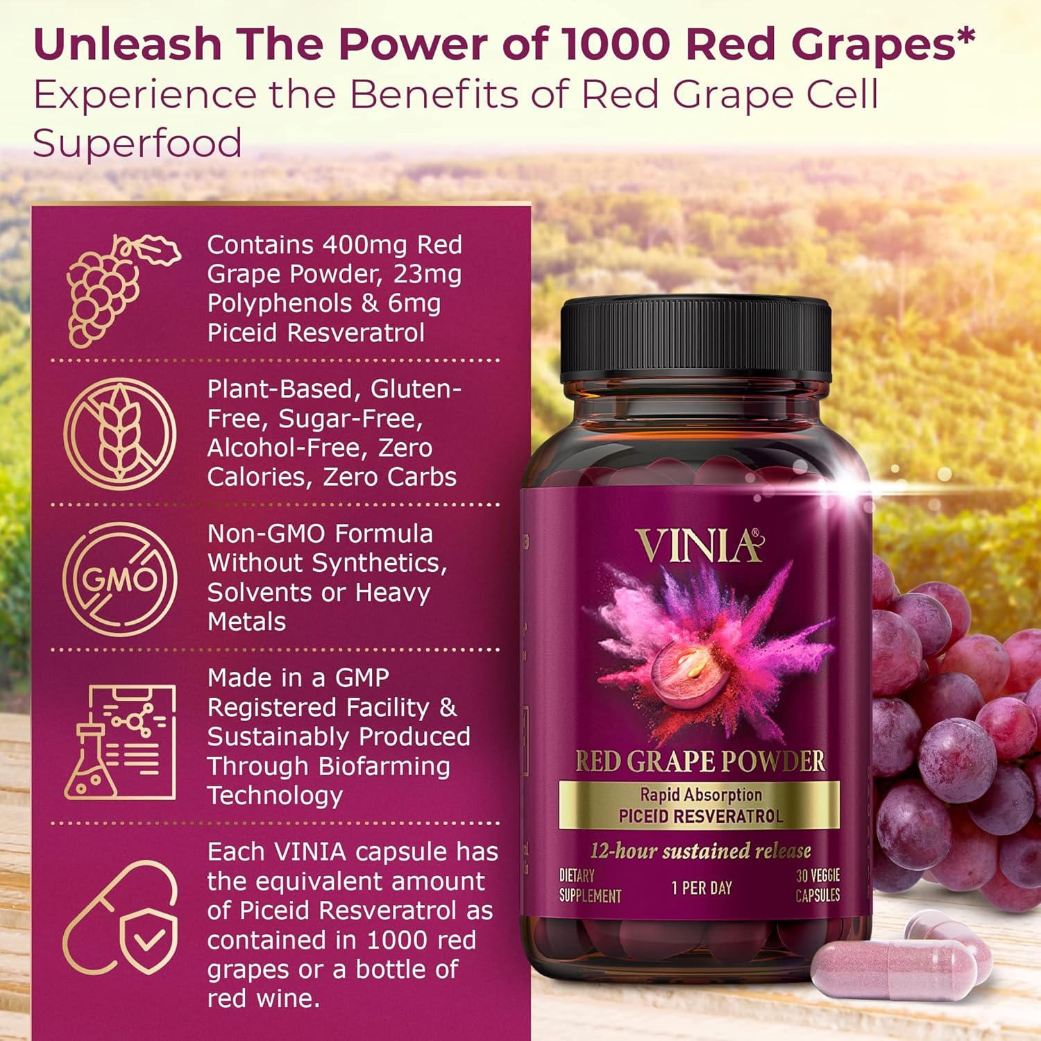 12-Hour Long-Lasting Piceid Resveratrol Supplement for Heart Health & Blood Flow - Nitric Oxide Support - Superfood Powder - Vegan & Non-GMO - 30 Day Supply