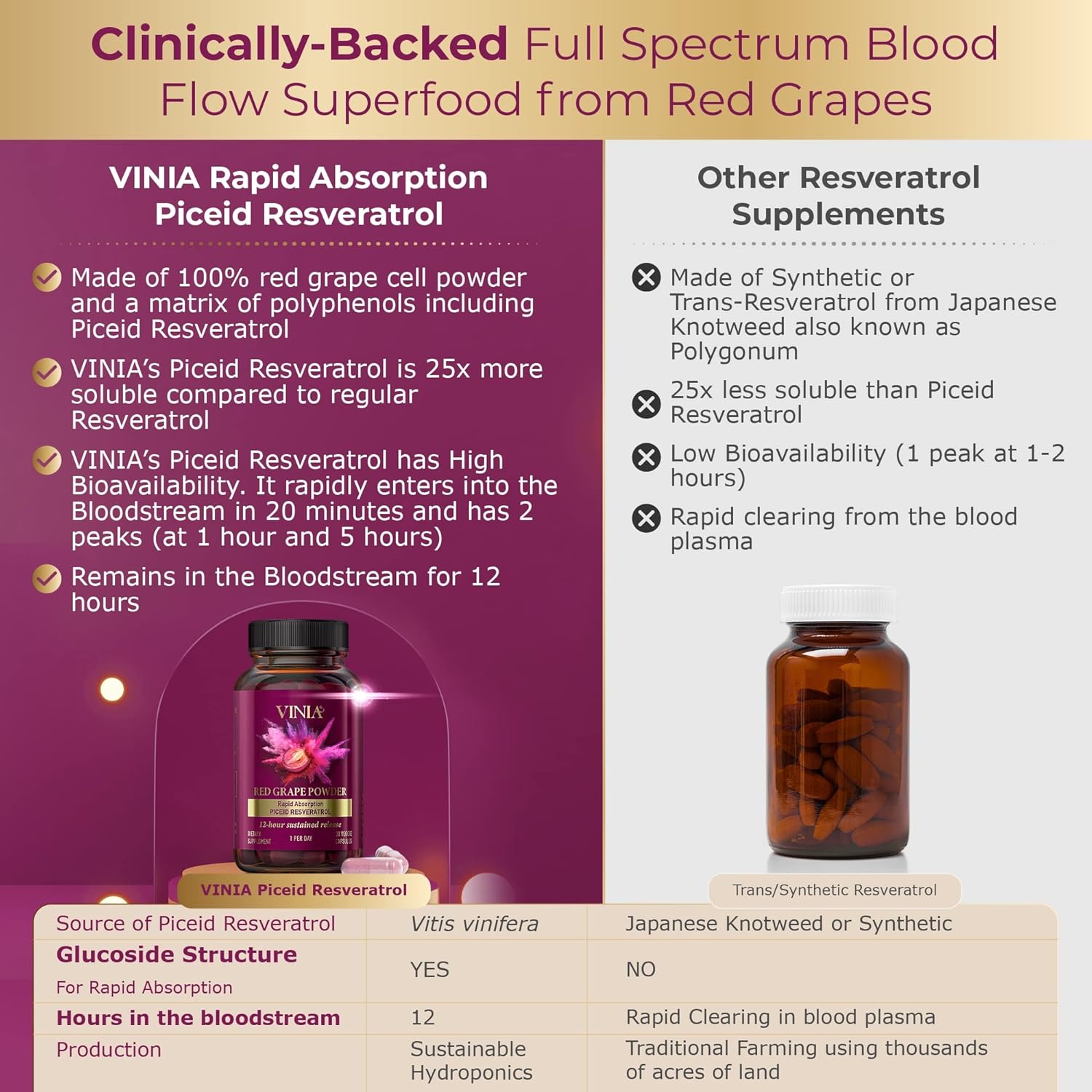 12-Hour Long-Lasting Piceid Resveratrol Supplement for Heart Health & Blood Flow - Nitric Oxide Support - Superfood Powder - Vegan & Non-GMO - 30 Day Supply