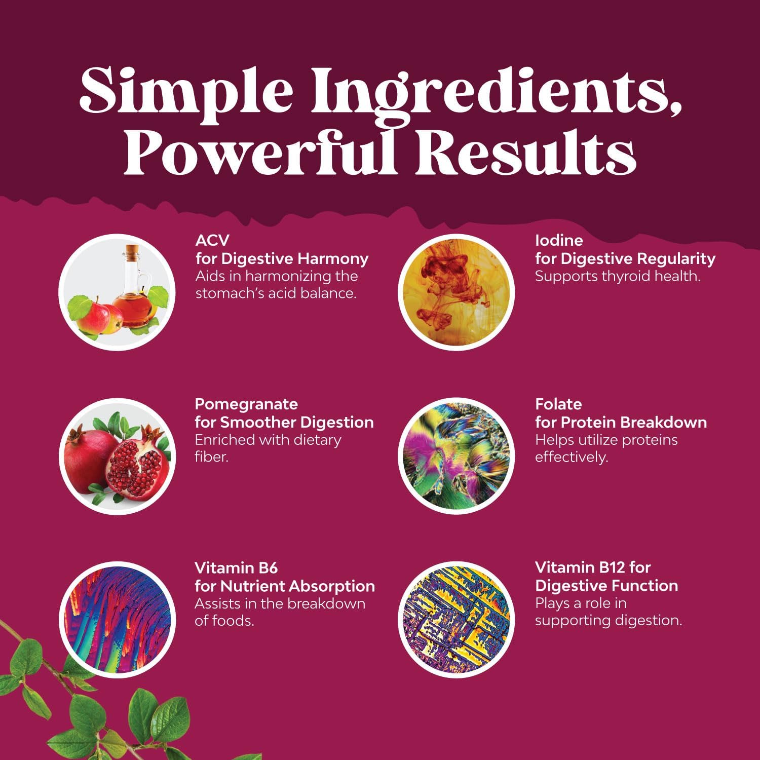 120 Count Natures Craft ACV Apple Cider Vinegar Gummies with Mother - Natural Energy Supplement for Body Cleanse, Immune Support, Gut Health - Vitamin B12, Beet Root included