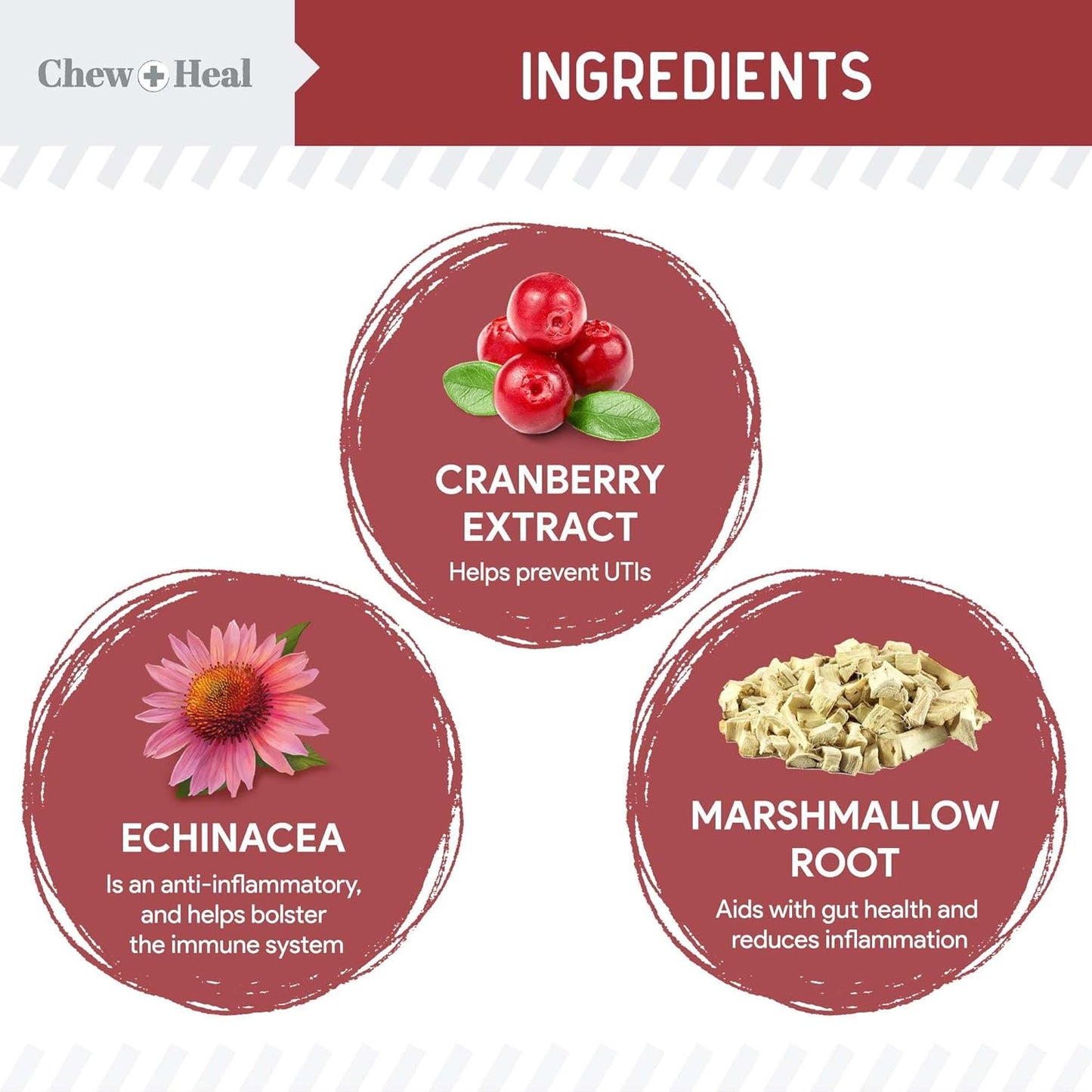 120 Cranberry Soft Chews for Dog UTI Treatment - Supports Healthy Urinary Tract & Bladder Control - Echinacea, Vitamin C - Corrects Imbalances