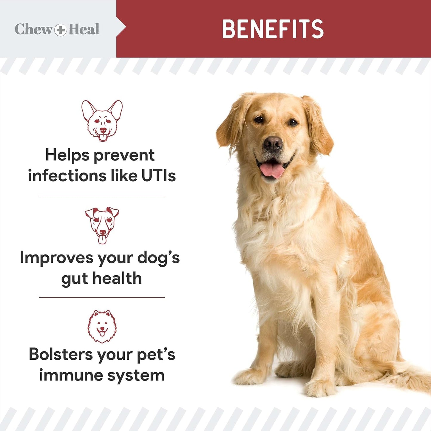 120 Cranberry Soft Chews for Dog UTI Treatment - Supports Healthy Urinary Tract & Bladder Control - Echinacea, Vitamin C - Corrects Imbalances