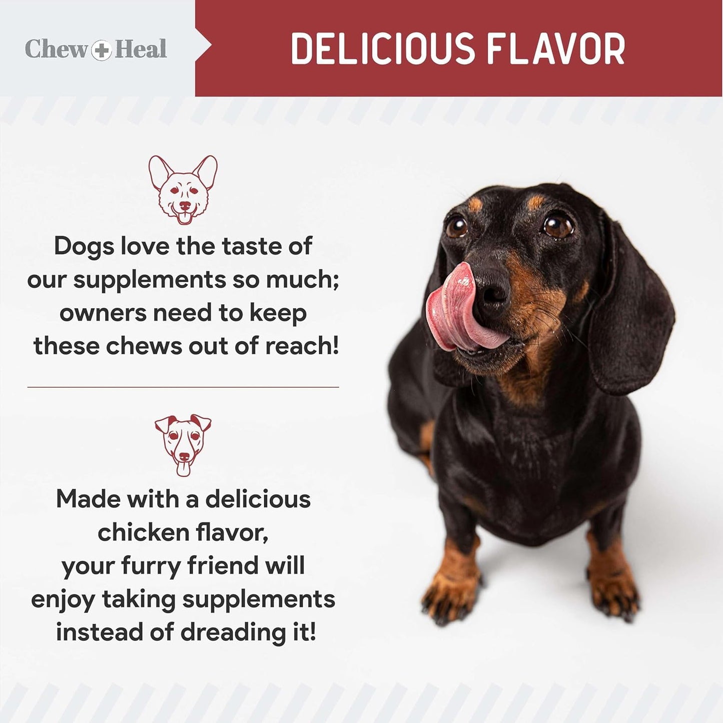 120 Cranberry Soft Chews for Dog UTI Treatment - Supports Healthy Urinary Tract & Bladder Control - Echinacea, Vitamin C - Corrects Imbalances