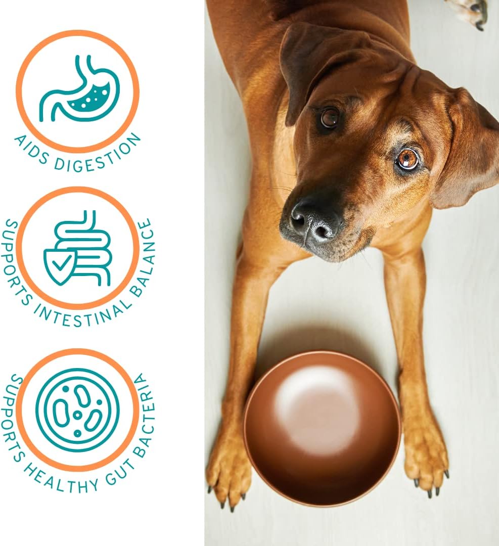 120 Servings of Dog Probiotic Powder with Digestive Enzymes for Optimal Canine Health - Made in USA