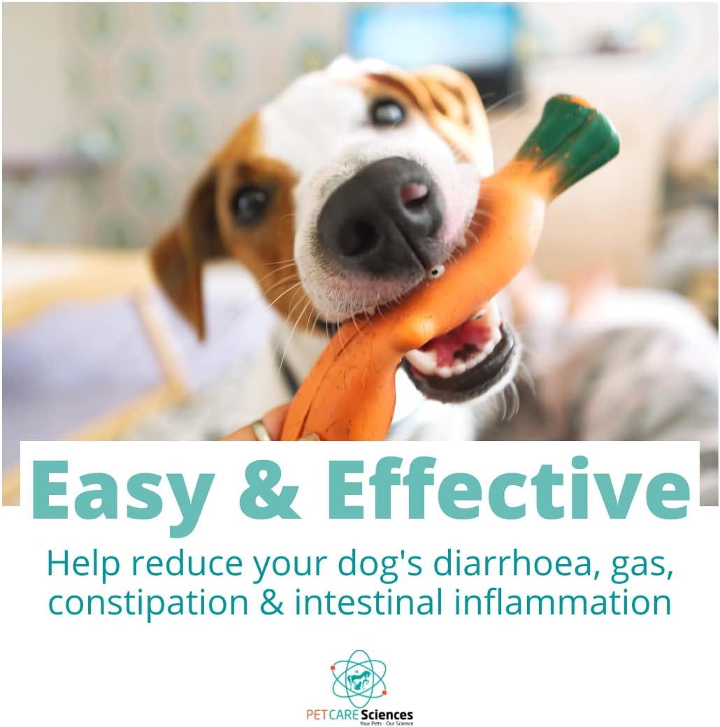 120 Servings of Dog Probiotic Powder with Digestive Enzymes for Optimal Canine Health - Made in USA