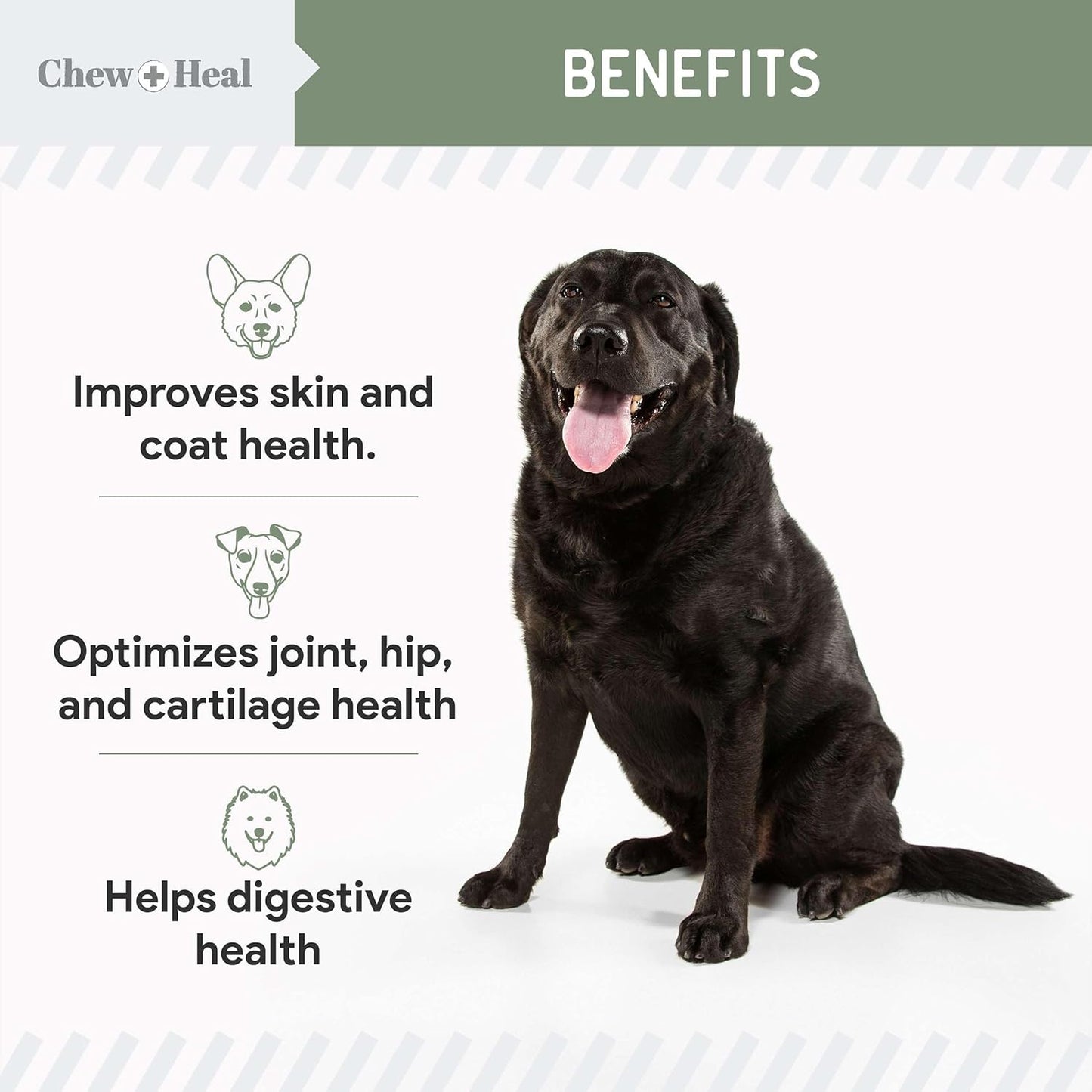 120 Soft Chew Treats with Probiotics and Omega for Dog Health - Chewable Multivitamin for Skin, Coat, and Joint Support - Made in USA