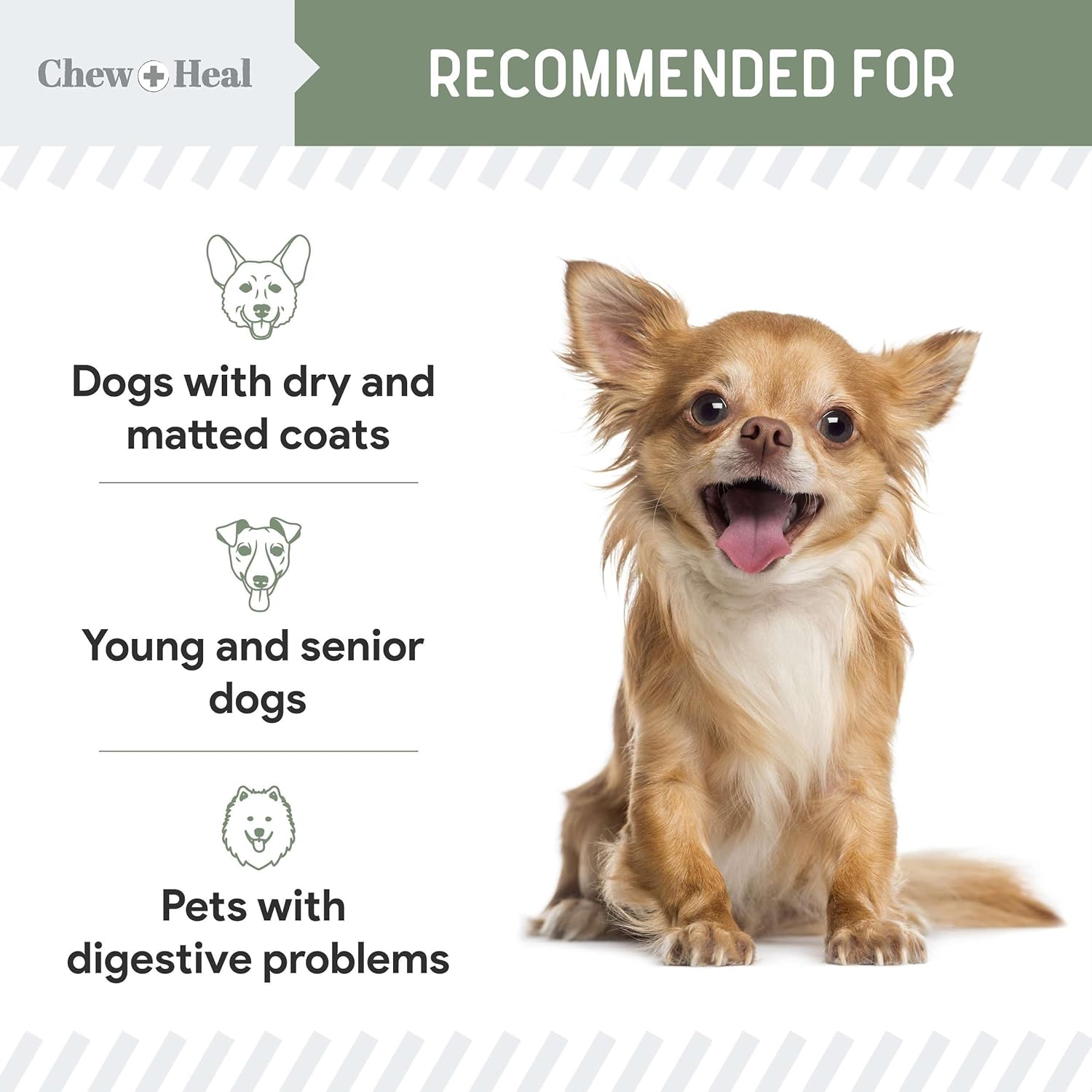 120 Soft Chew Treats with Probiotics and Omega for Dog Health - Chewable Multivitamin for Skin, Coat, and Joint Support - Made in USA