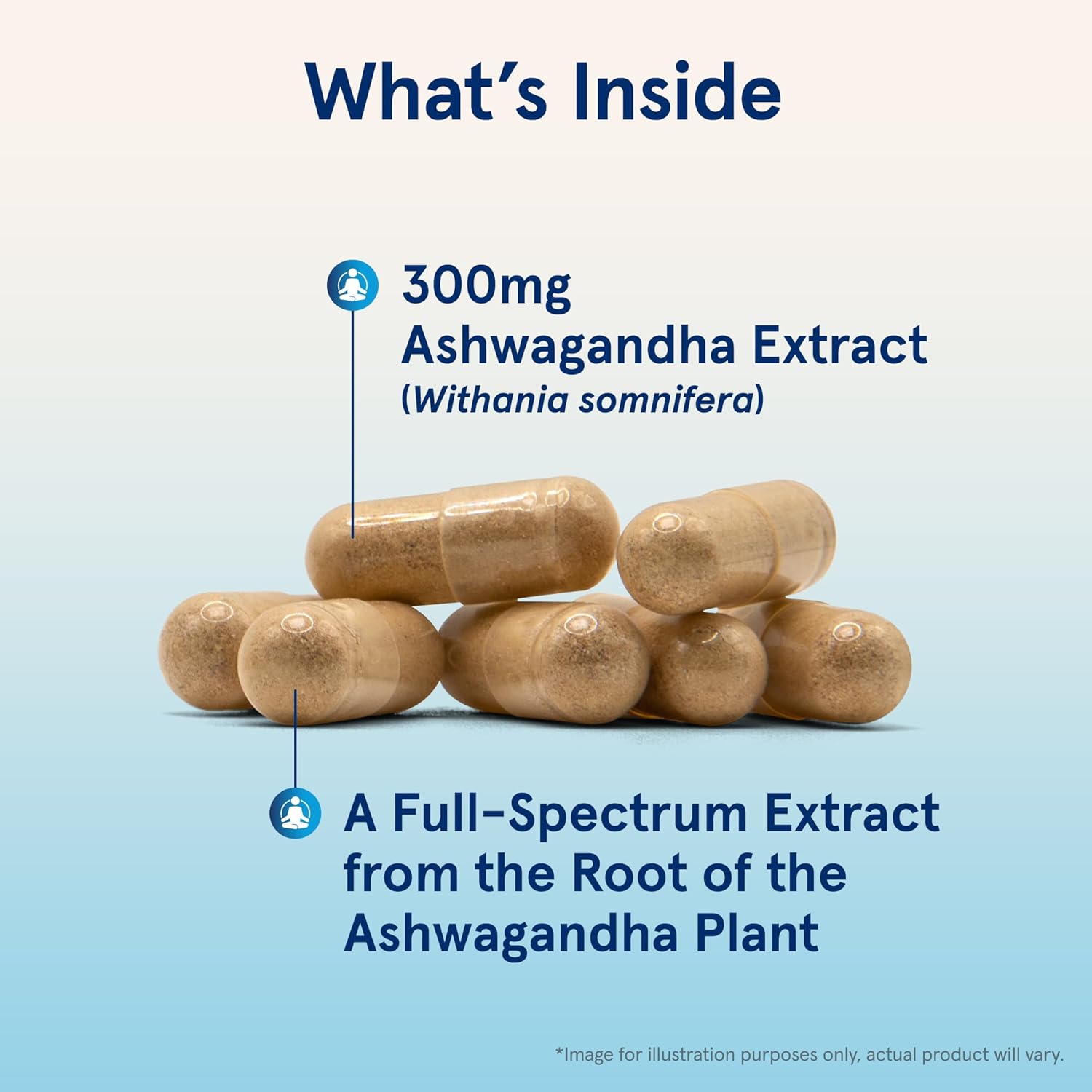 120 Veggie Capsules of Jarrow Formulas Ashwagandha 300 mg - Supports Overall Health, Endurance, and Cognitive Health - 60 Servings in Pack of 12 - Natural Supplement for Fatigue Resistance