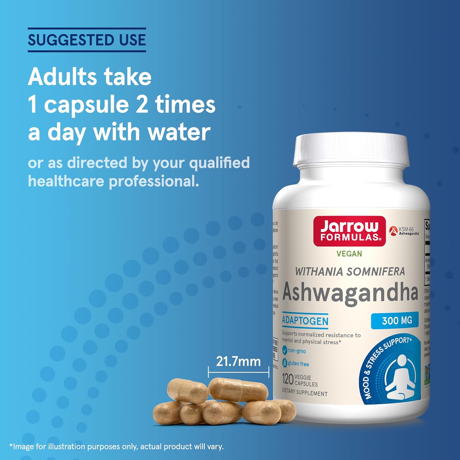 120 Veggie Capsules of Jarrow Formulas Ashwagandha 300 mg - Supports Overall Health, Endurance, and Cognitive Health - 60 Servings in Pack of 12 - Natural Supplement for Fatigue Resistance