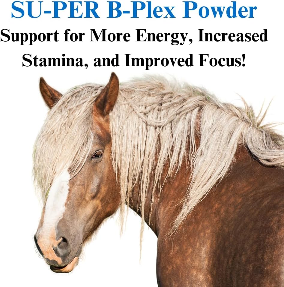 12.5 lb B-Complex Horse Vitamins & Minerals - Equine Supplement for Healthy Hooves, Red Blood Cells, and Calming - 6 Month Supply