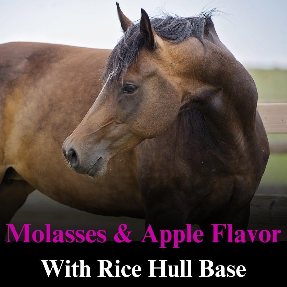 12.5 lb B-Complex Horse Vitamins & Minerals - Equine Supplement for Healthy Hooves, Red Blood Cells, and Calming - 6 Month Supply
