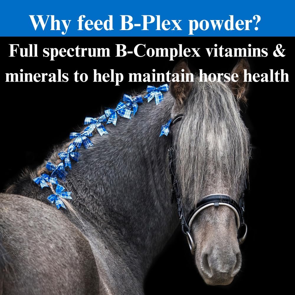 12.5 lb B-Complex Horse Vitamins & Minerals - Equine Supplement for Healthy Hooves, Red Blood Cells, and Calming - 6 Month Supply
