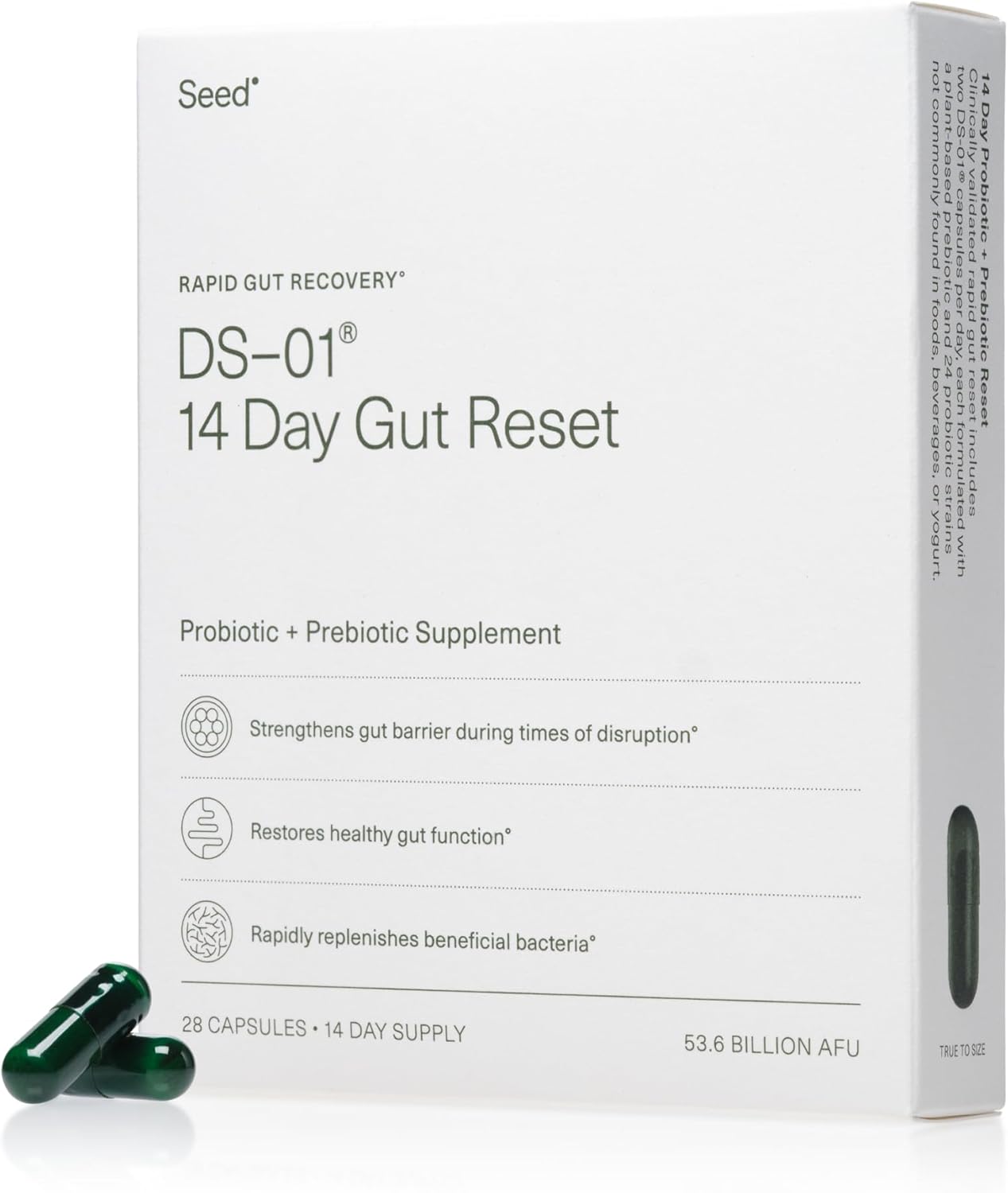 14 Day Gut Reset: Prebiotic & Probiotic for Digestive Health - Rapid Recovery, Bloating Relief - Vegan, Shelf-Stable - 28 Capsules